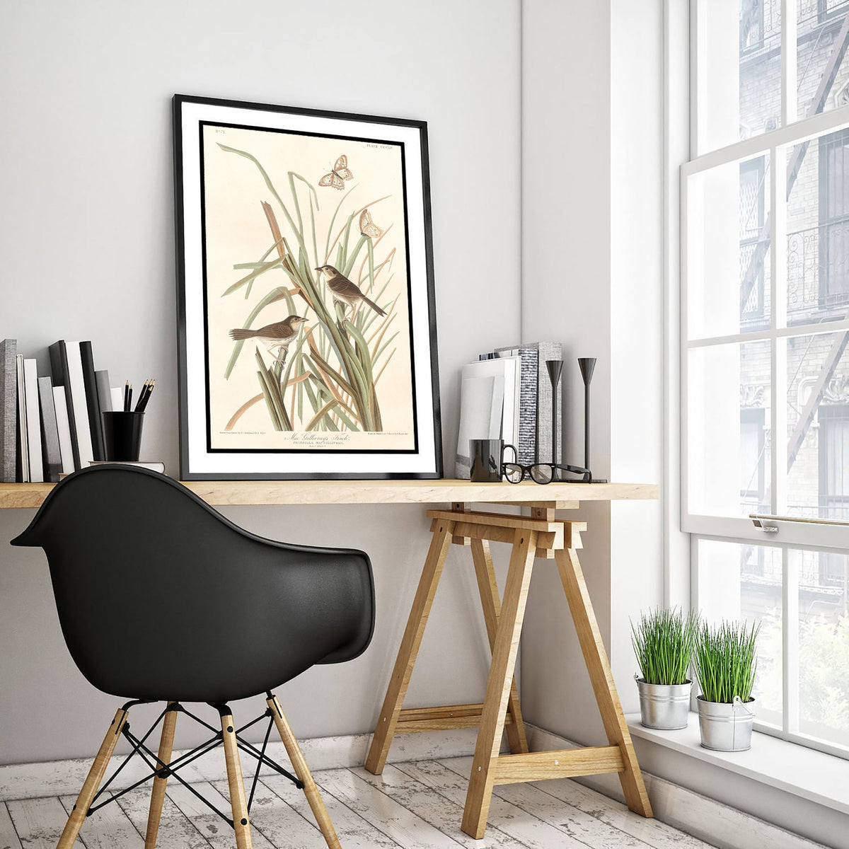 Seaside Sparrow Art Print - John James Audubon Birds of America - MacGillivrays Finch Illustration Poster
