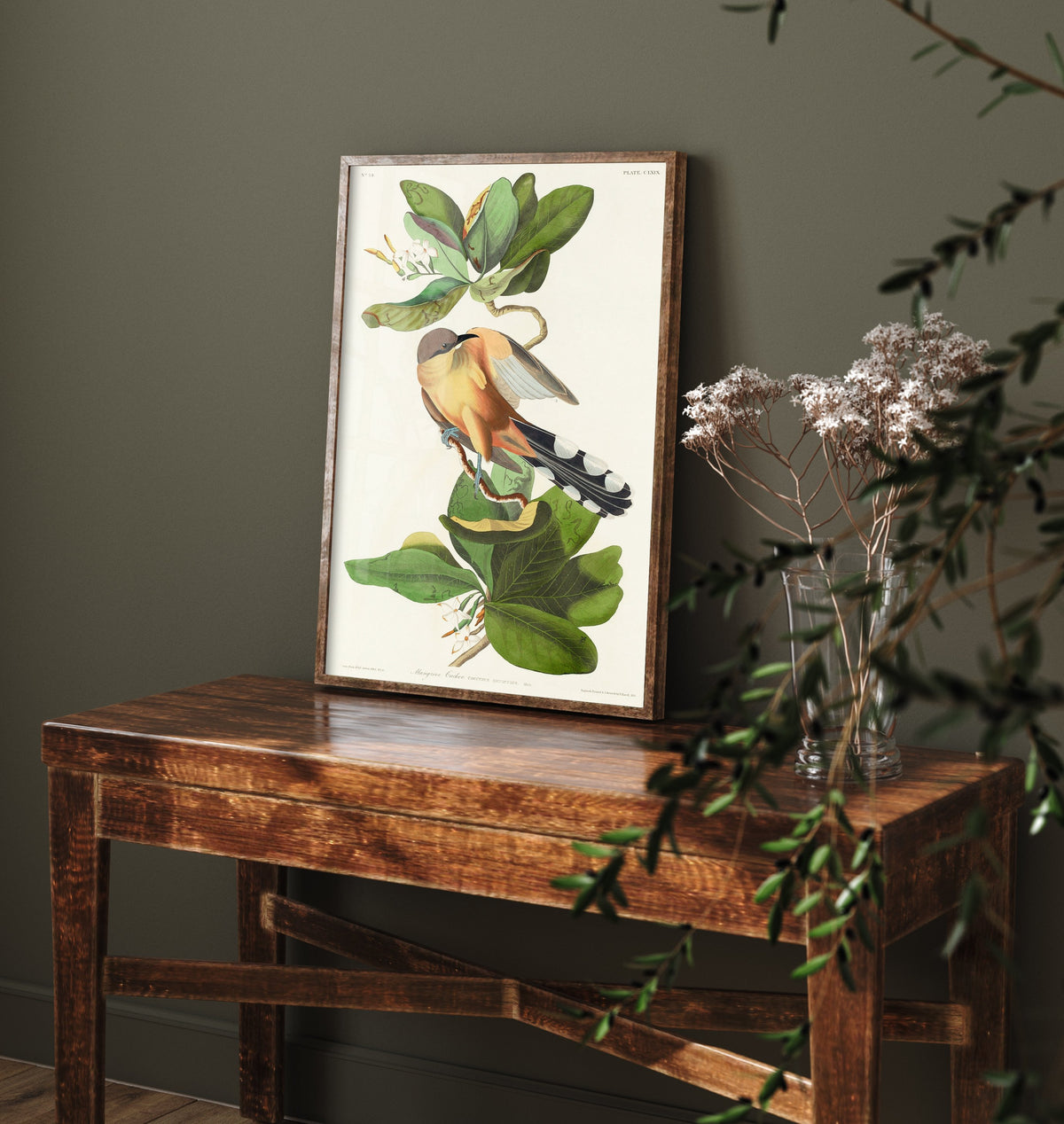 Mangrove Cuckoo Art Print - John James Audubon Birds of America - Vintage Ornithology Illustration Poster