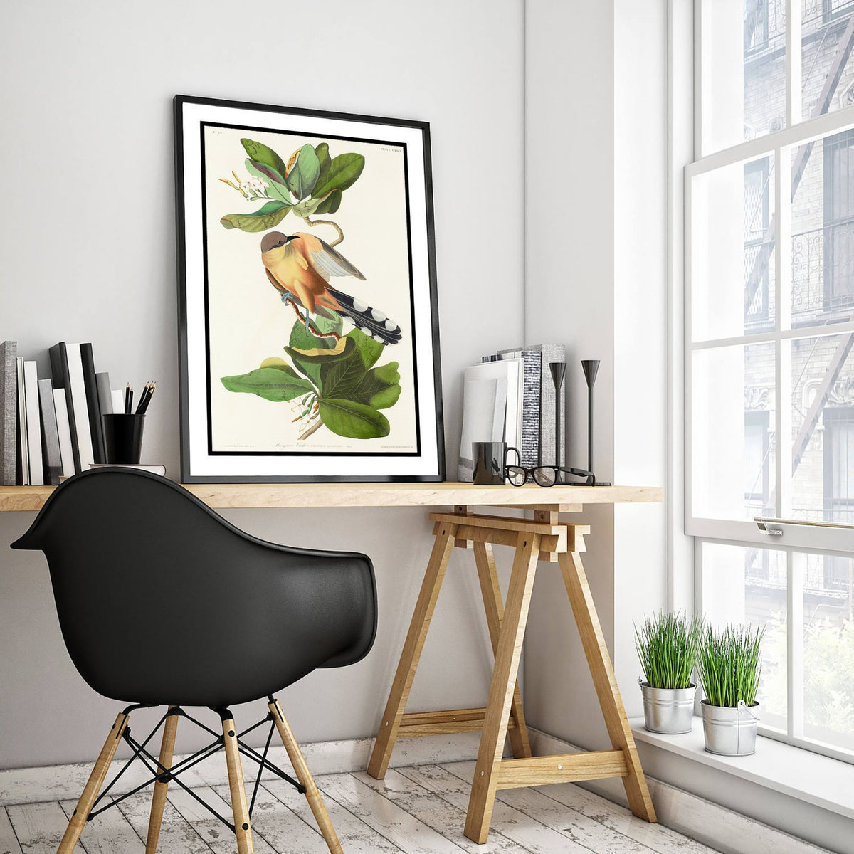 Mangrove Cuckoo Art Print - John James Audubon Birds of America - Vintage Ornithology Illustration Poster