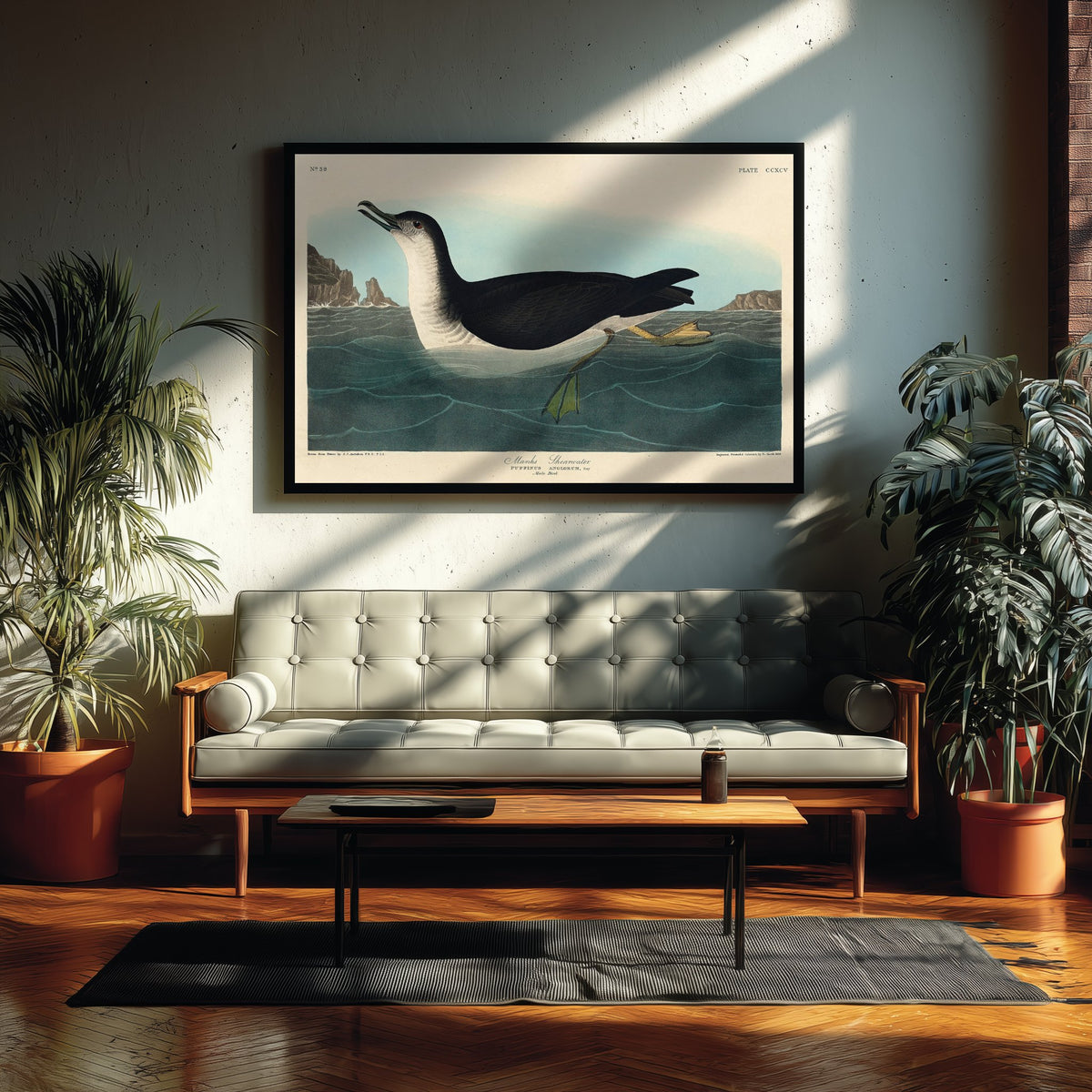 Manx Shearwater Art Print - John James Audubon Birds of America - Vintage Seabird Illustration Poster