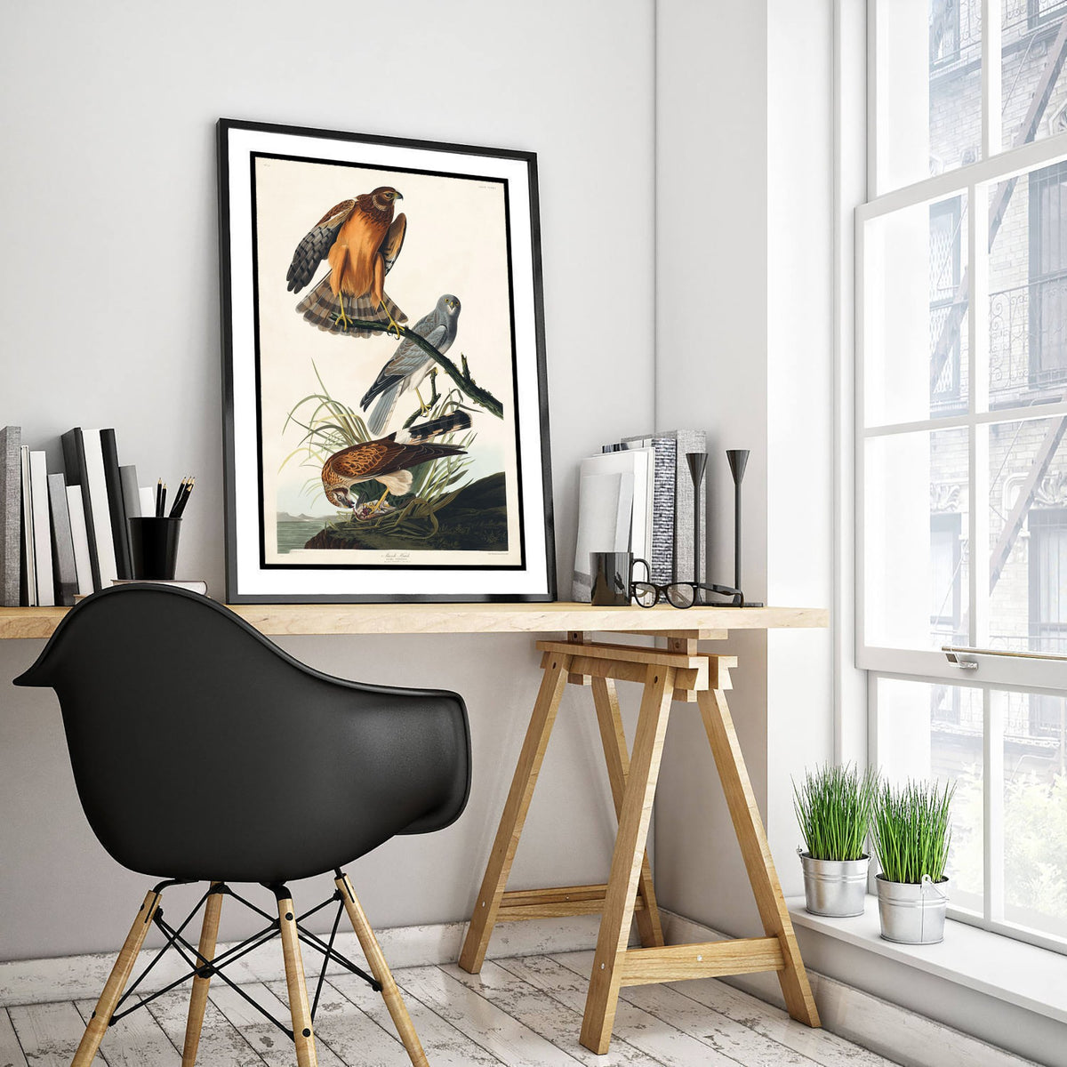 Northern Harrier Art Print - John James Audubon Birds of America - Marsh Hawk Illustration Poster
