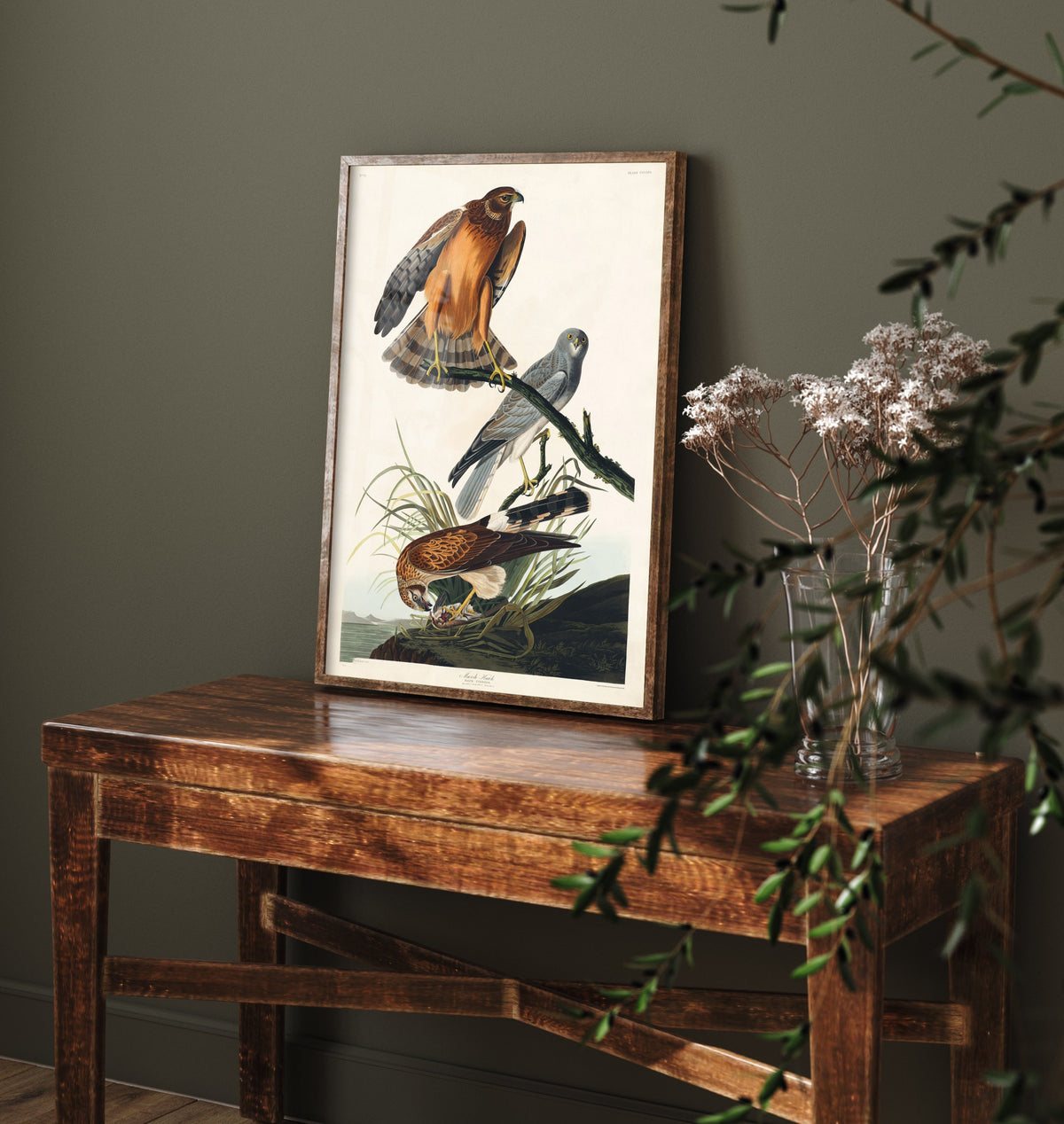 Northern Harrier Art Print - John James Audubon Birds of America - Marsh Hawk Illustration Poster