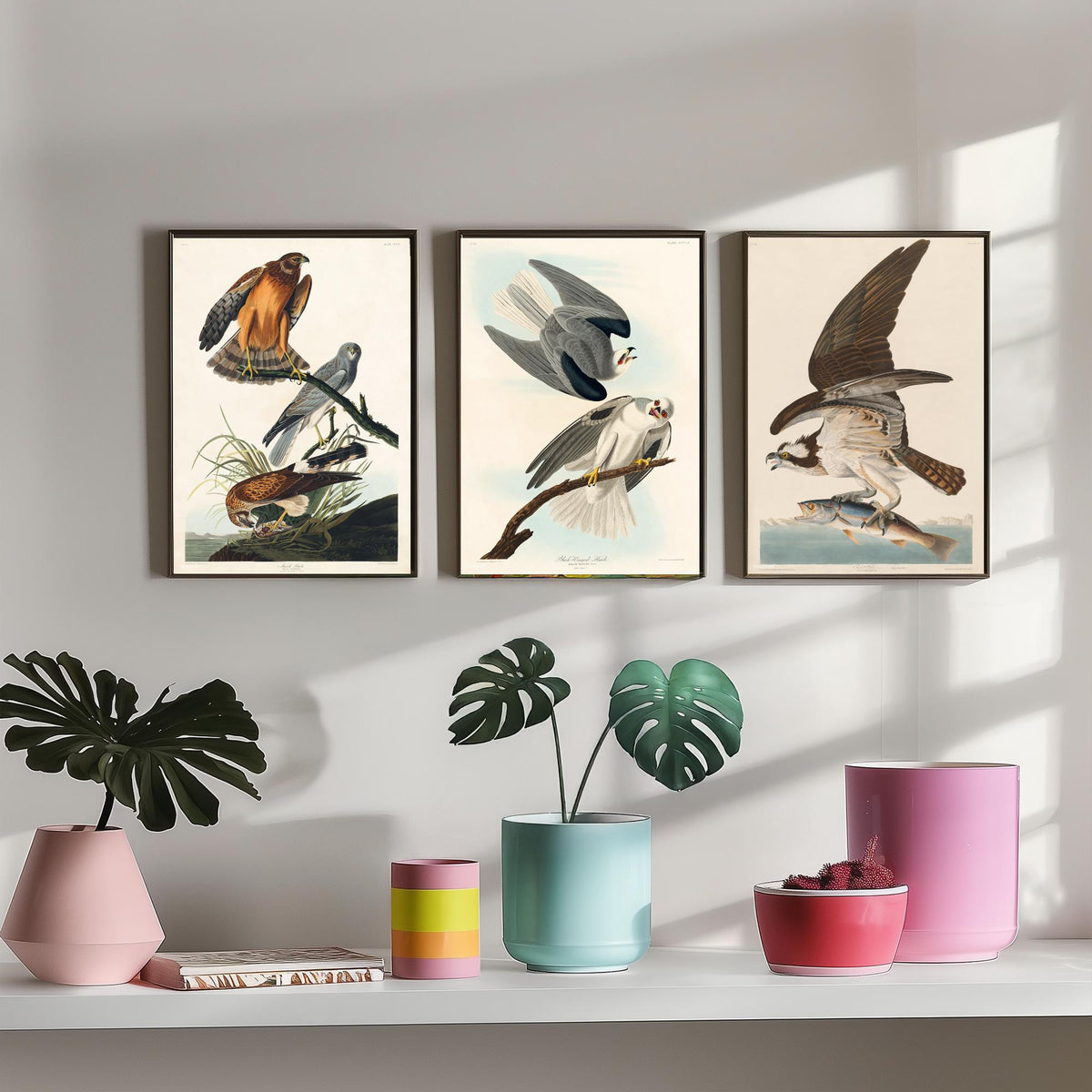 Set of Three John James Audubon Prints - Marsh Hawk Black-winged Hawk and Fish Hawk - 3 Bird Paintings Poster Wall Art Gift Vintage
