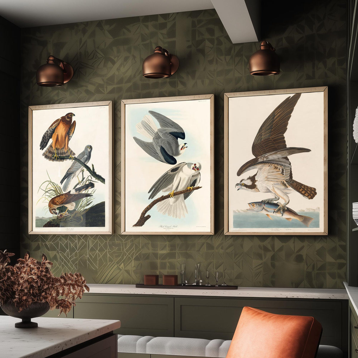 Set of Three John James Audubon Prints - Marsh Hawk Black-winged Hawk and Fish Hawk - 3 Bird Paintings Poster Wall Art Gift Vintage