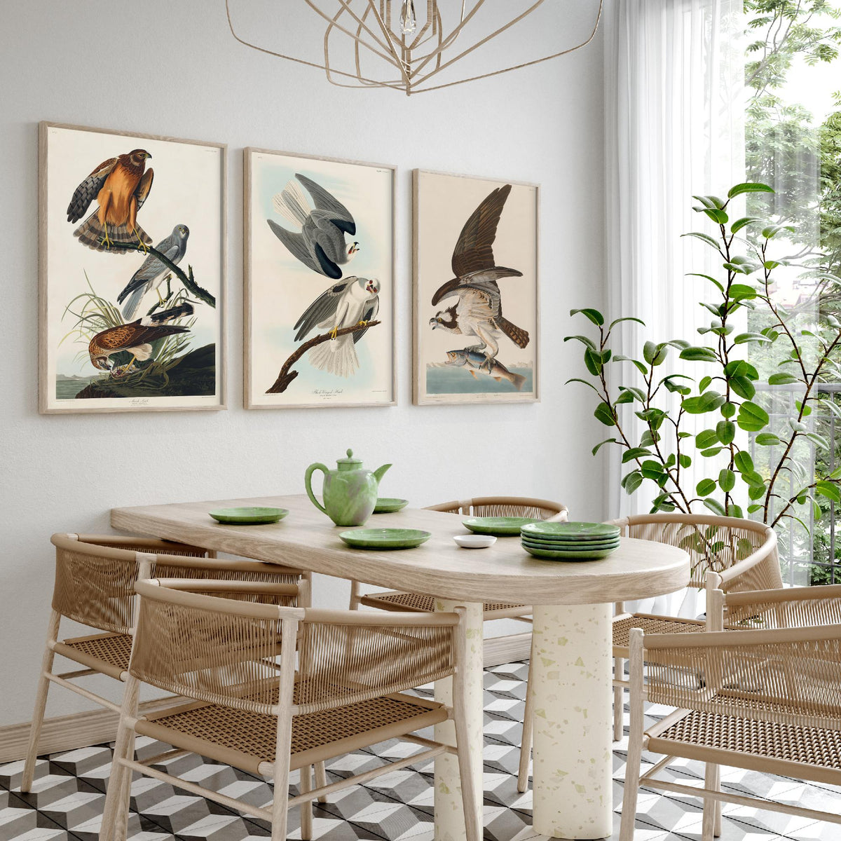 Set of Three John James Audubon Prints - Marsh Hawk Black-winged Hawk and Fish Hawk - 3 Bird Paintings Poster Wall Art Gift Vintage