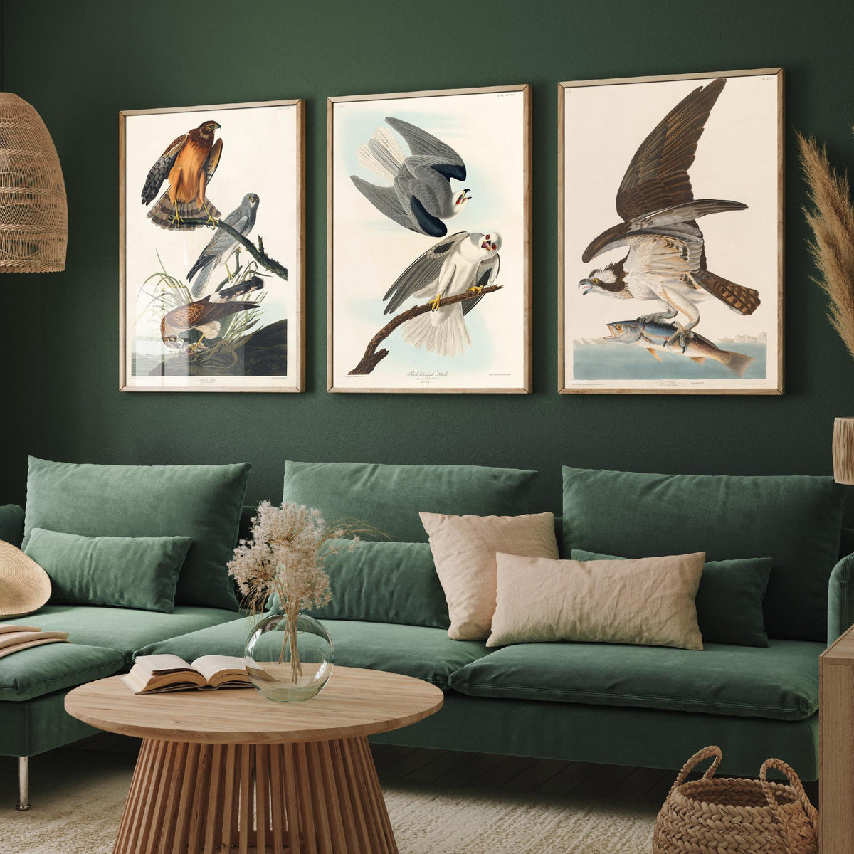 Set of Three John James Audubon Prints - Marsh Hawk Black-winged Hawk and Fish Hawk - 3 Bird Paintings Poster Wall Art Gift Vintage