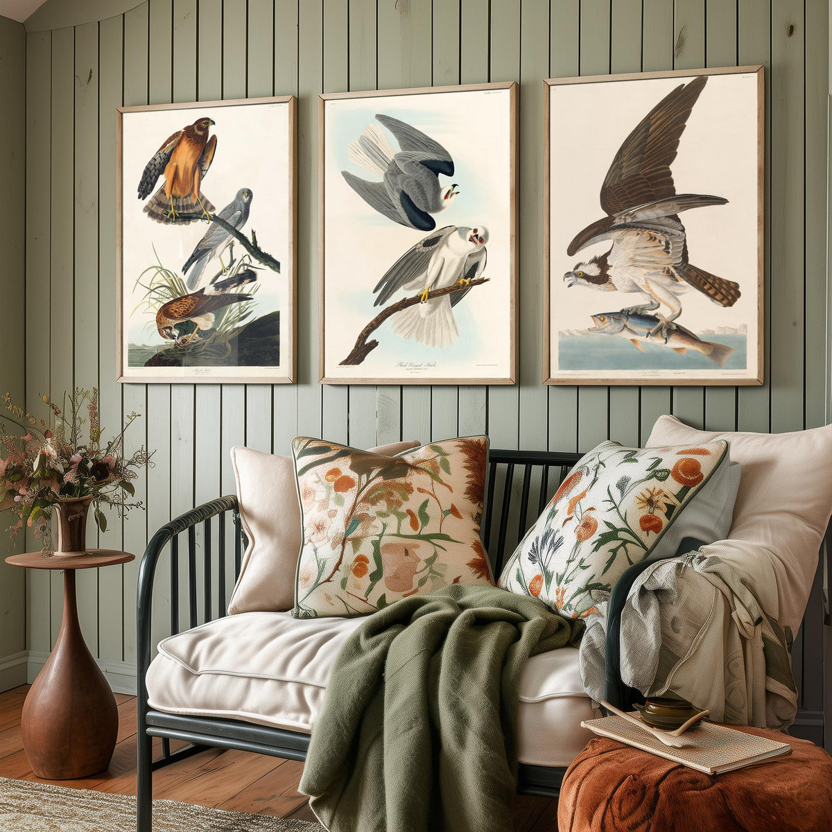 Set of Three John James Audubon Prints - Marsh Hawk Black-winged Hawk and Fish Hawk - 3 Bird Paintings Poster Wall Art Gift Vintage