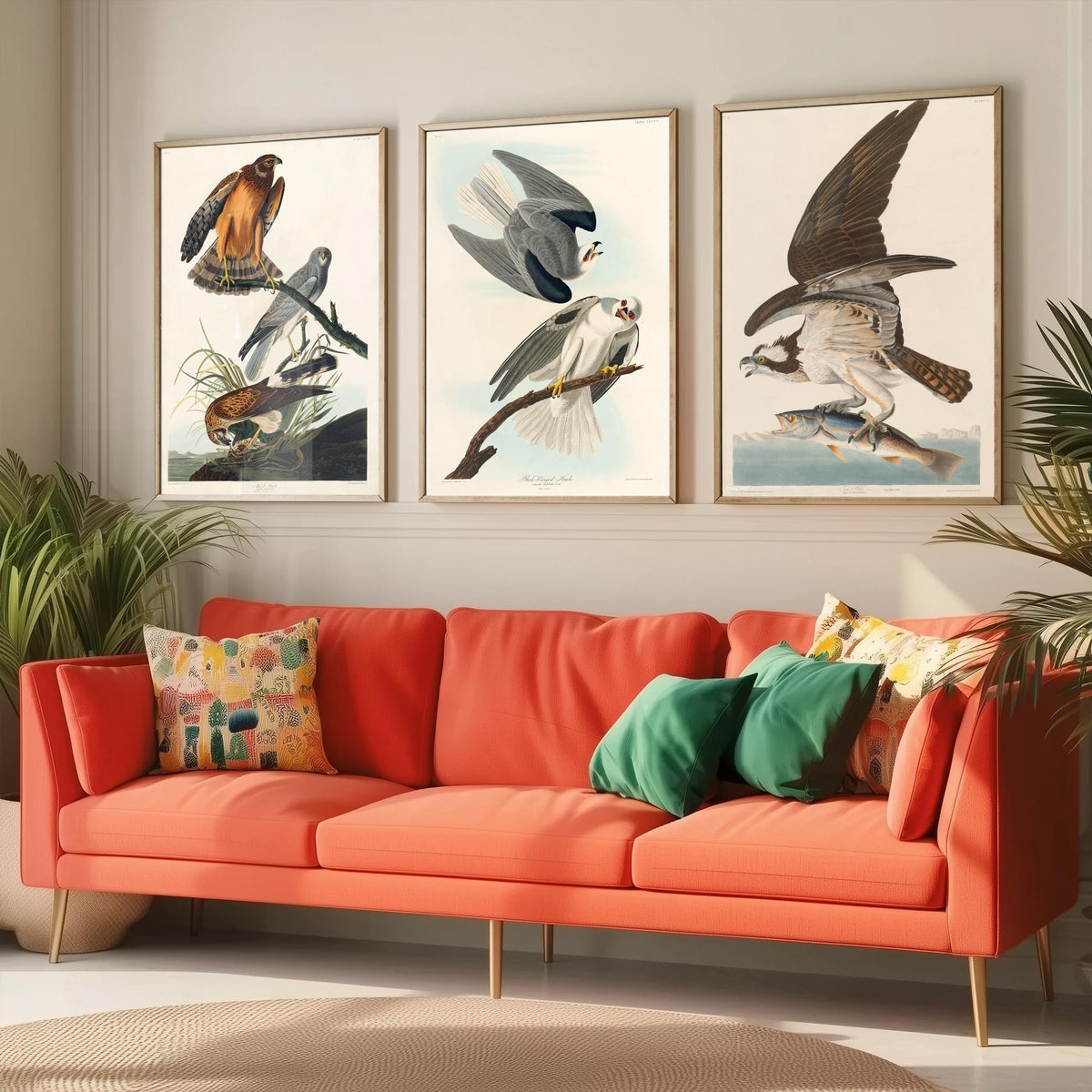 Set of Three John James Audubon Prints - Marsh Hawk Black-winged Hawk and Fish Hawk - 3 Bird Paintings Poster Wall Art Gift Vintage
