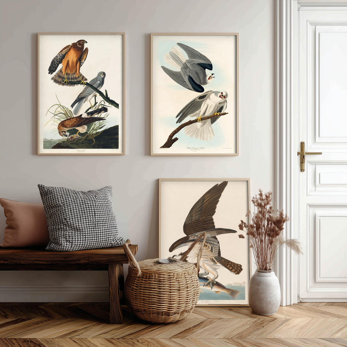 Set of Three John James Audubon Prints - Marsh Hawk Black-winged Hawk and Fish Hawk - 3 Bird Paintings Poster Wall Art Gift Vintage