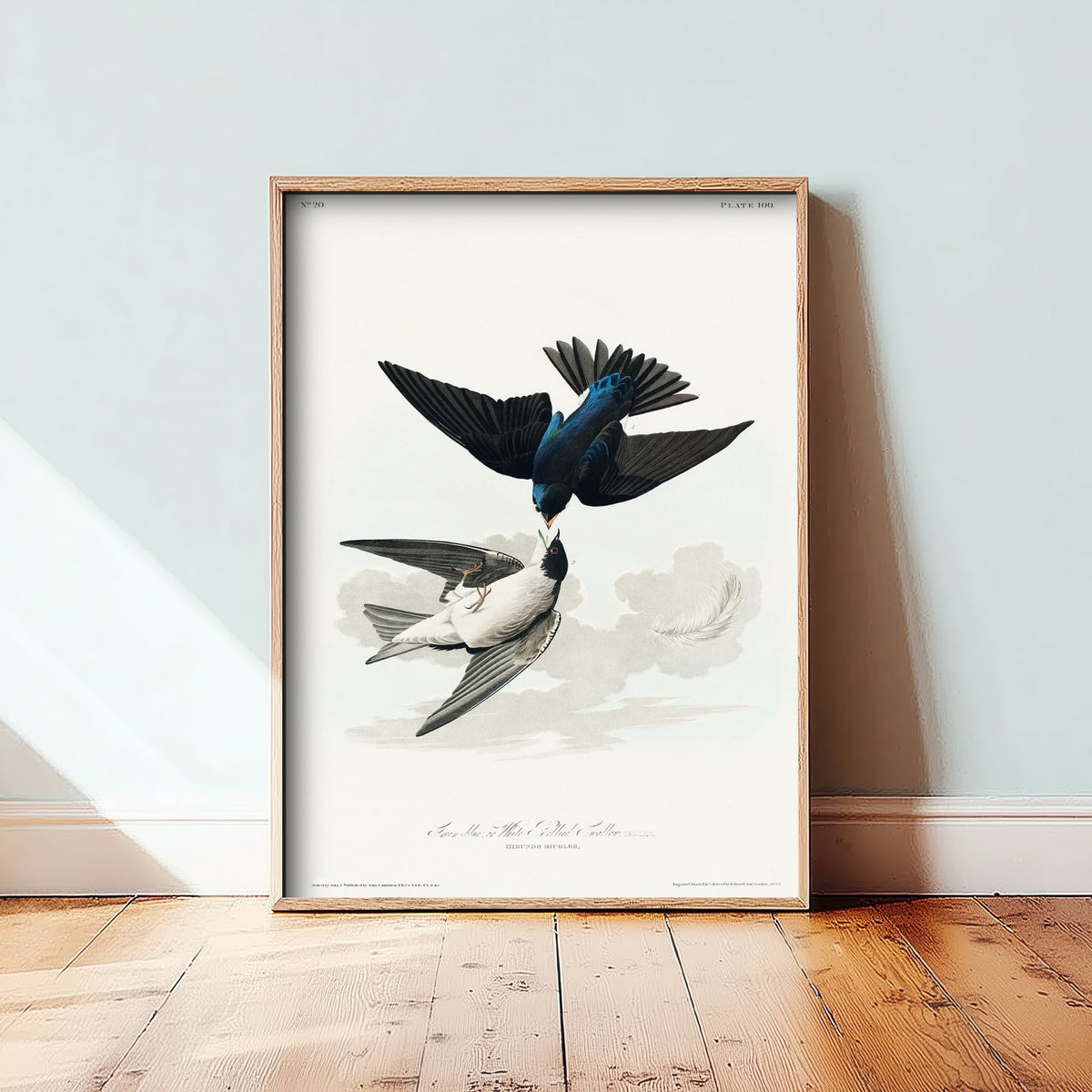 Marsh Wren Art Print - John James Audubon Birds of America - Vintage Ornithology Illustration Poster