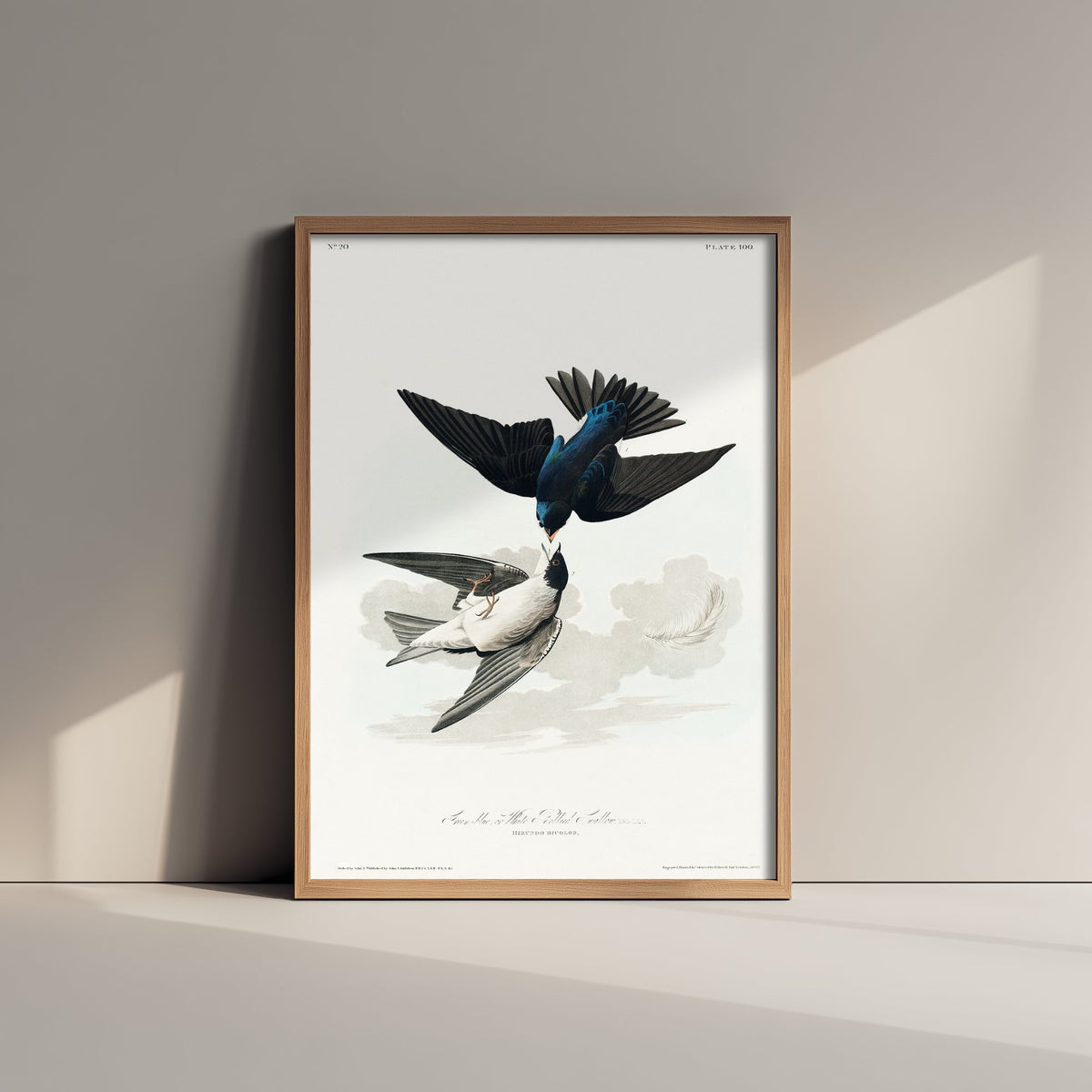 Marsh Wren Art Print - John James Audubon Birds of America - Vintage Ornithology Illustration Poster