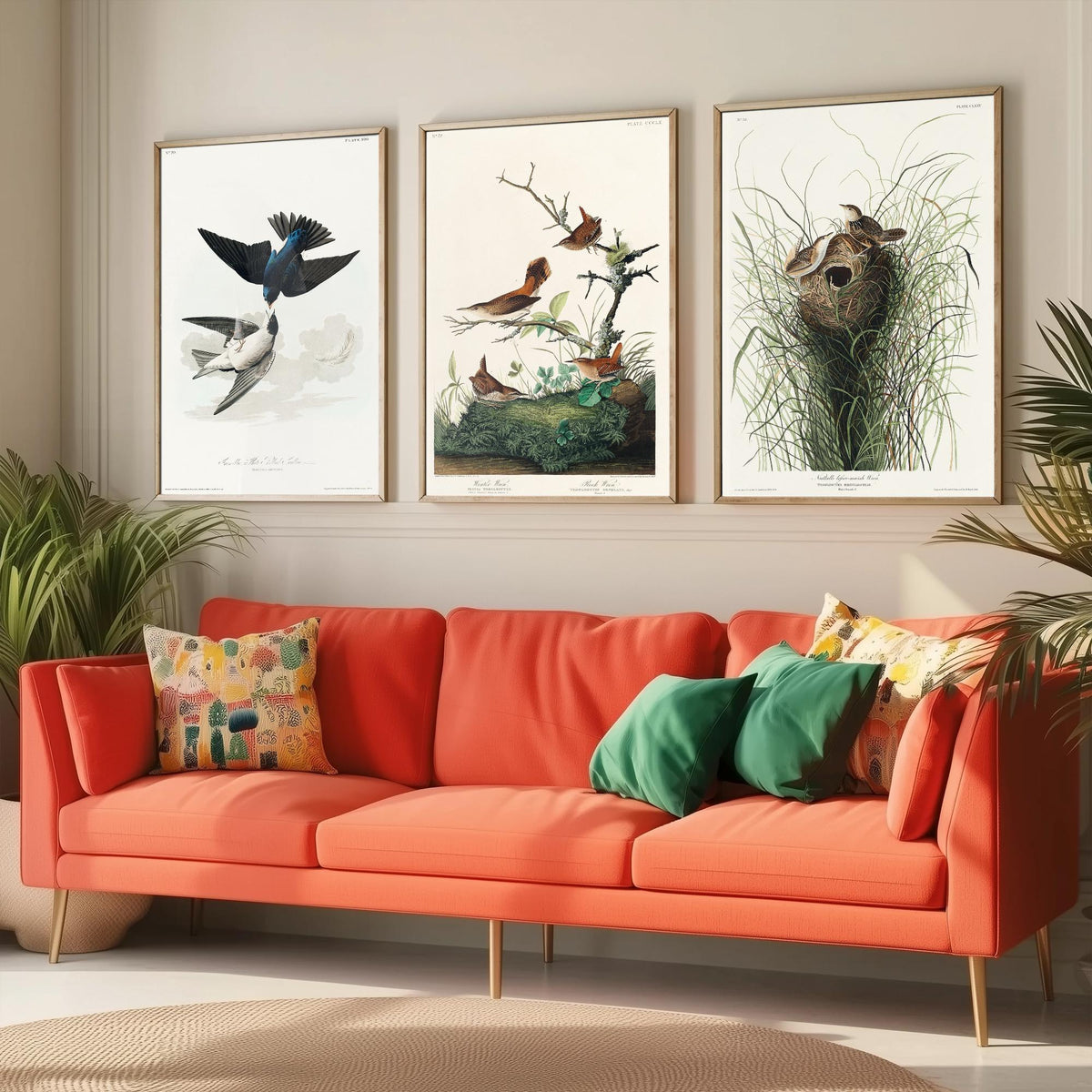 Set of Three John James Audubon Prints - White-bellied Swallow Winter Wren and Marsh Wren - 3 Bird Paintings Poster Wall Art Gift