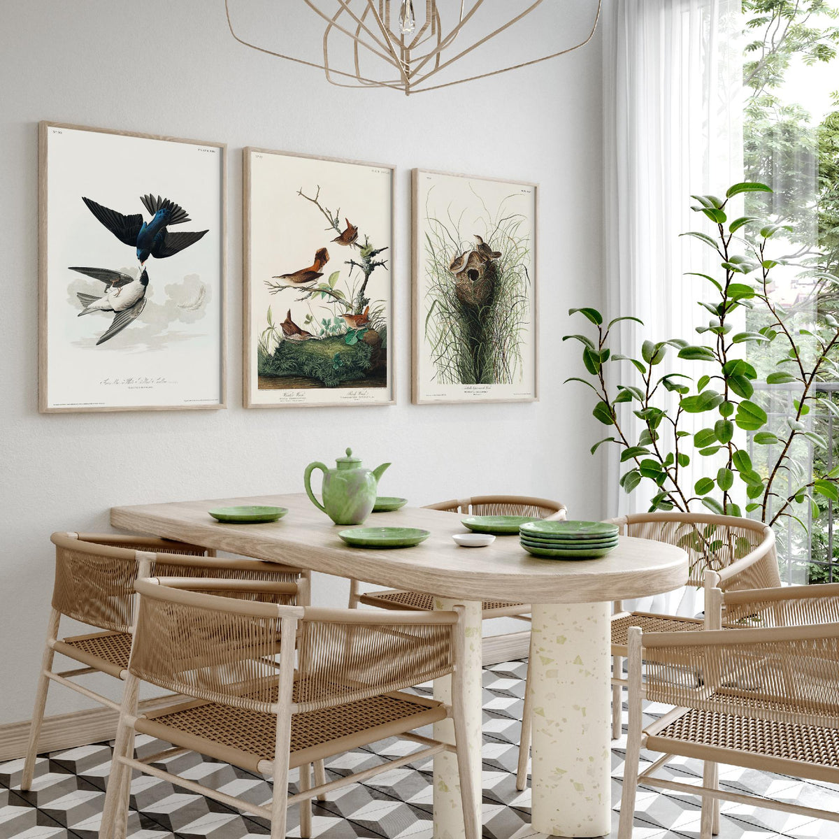 Set of Three John James Audubon Prints - White-bellied Swallow Winter Wren and Marsh Wren - 3 Bird Paintings Poster Wall Art Gift