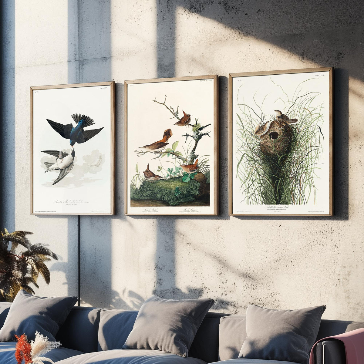 Set of Three John James Audubon Prints - White-bellied Swallow Winter Wren and Marsh Wren - 3 Bird Paintings Poster Wall Art Gift