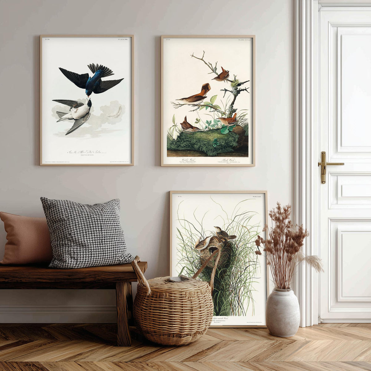 Set of Three John James Audubon Prints - White-bellied Swallow Winter Wren and Marsh Wren - 3 Bird Paintings Poster Wall Art Gift