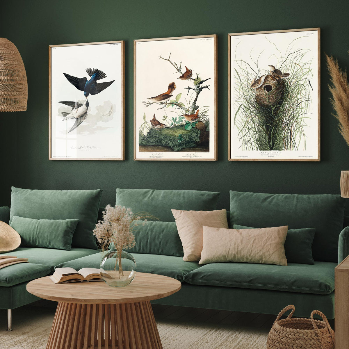 Set of Three John James Audubon Prints - White-bellied Swallow Winter Wren and Marsh Wren - 3 Bird Paintings Poster Wall Art Gift