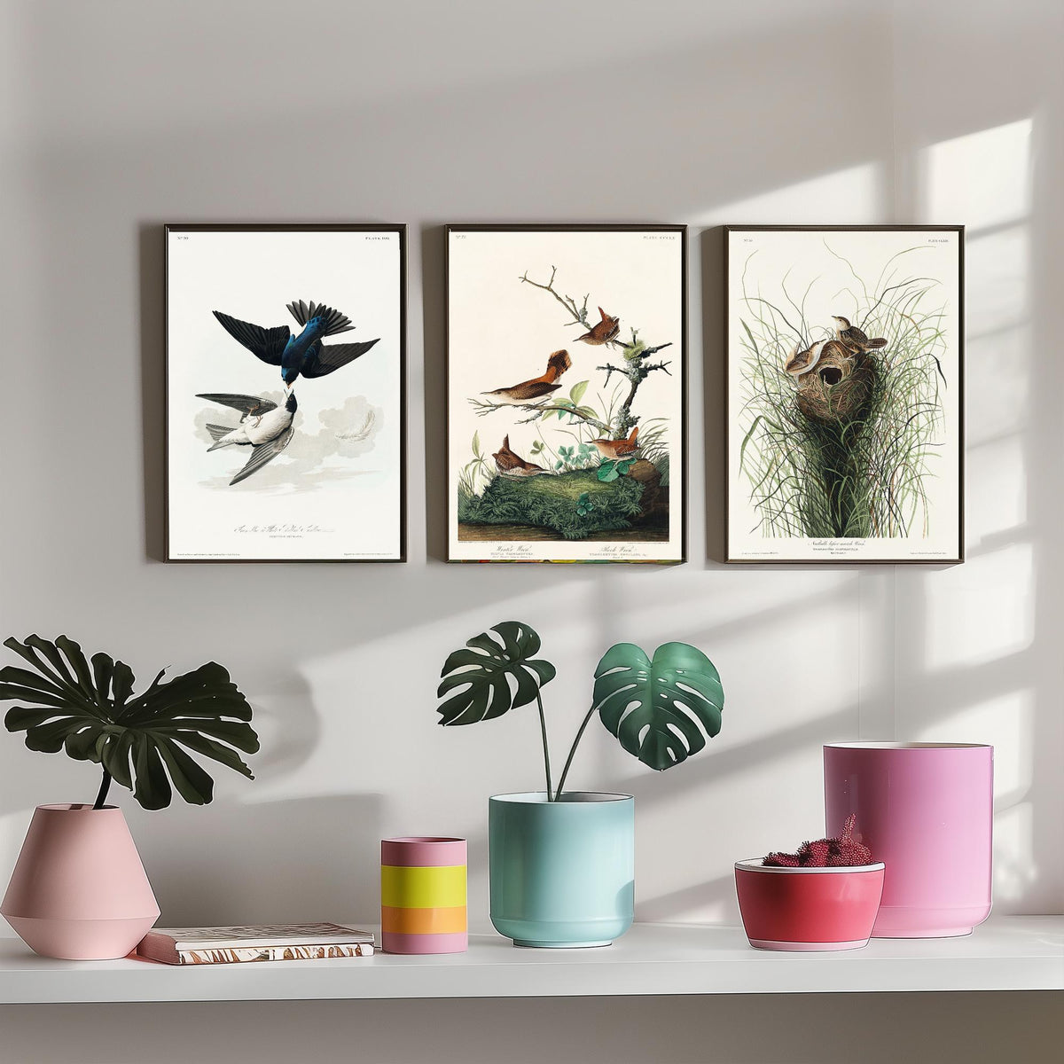 Set of Three John James Audubon Prints - White-bellied Swallow Winter Wren and Marsh Wren - 3 Bird Paintings Poster Wall Art Gift