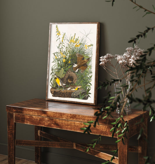 Eastern Meadowlark Art Print - John James Audubon Birds of America - Vintage Ornithology Illustration Poster