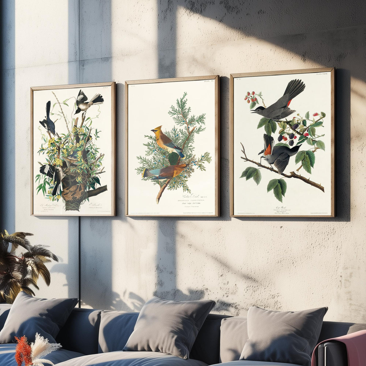 Set of Three John James Audubon Prints - Mockingbird Cedar Waxwing and Catbird - 3 Bird Paintings Poster Wall Art Gift Vintage