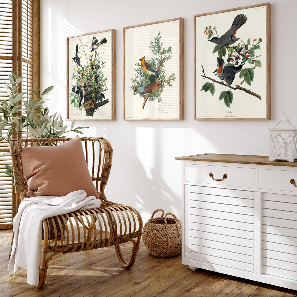 Set of Three John James Audubon Prints - Mockingbird Cedar Waxwing and Catbird - 3 Bird Paintings Poster Wall Art Gift Vintage