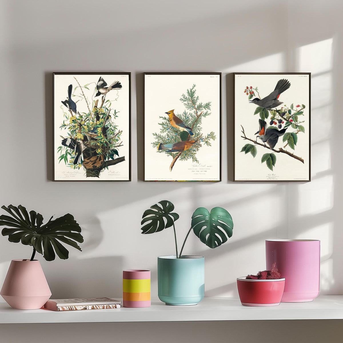 Set of Three John James Audubon Prints - Mockingbird Cedar Waxwing and Catbird - 3 Bird Paintings Poster Wall Art Gift Vintage