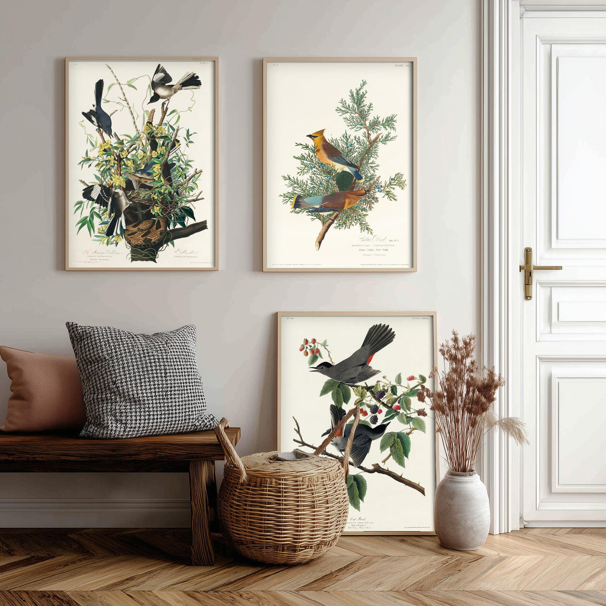 Set of Three John James Audubon Prints - Mockingbird Cedar Waxwing and Catbird - 3 Bird Paintings Poster Wall Art Gift Vintage
