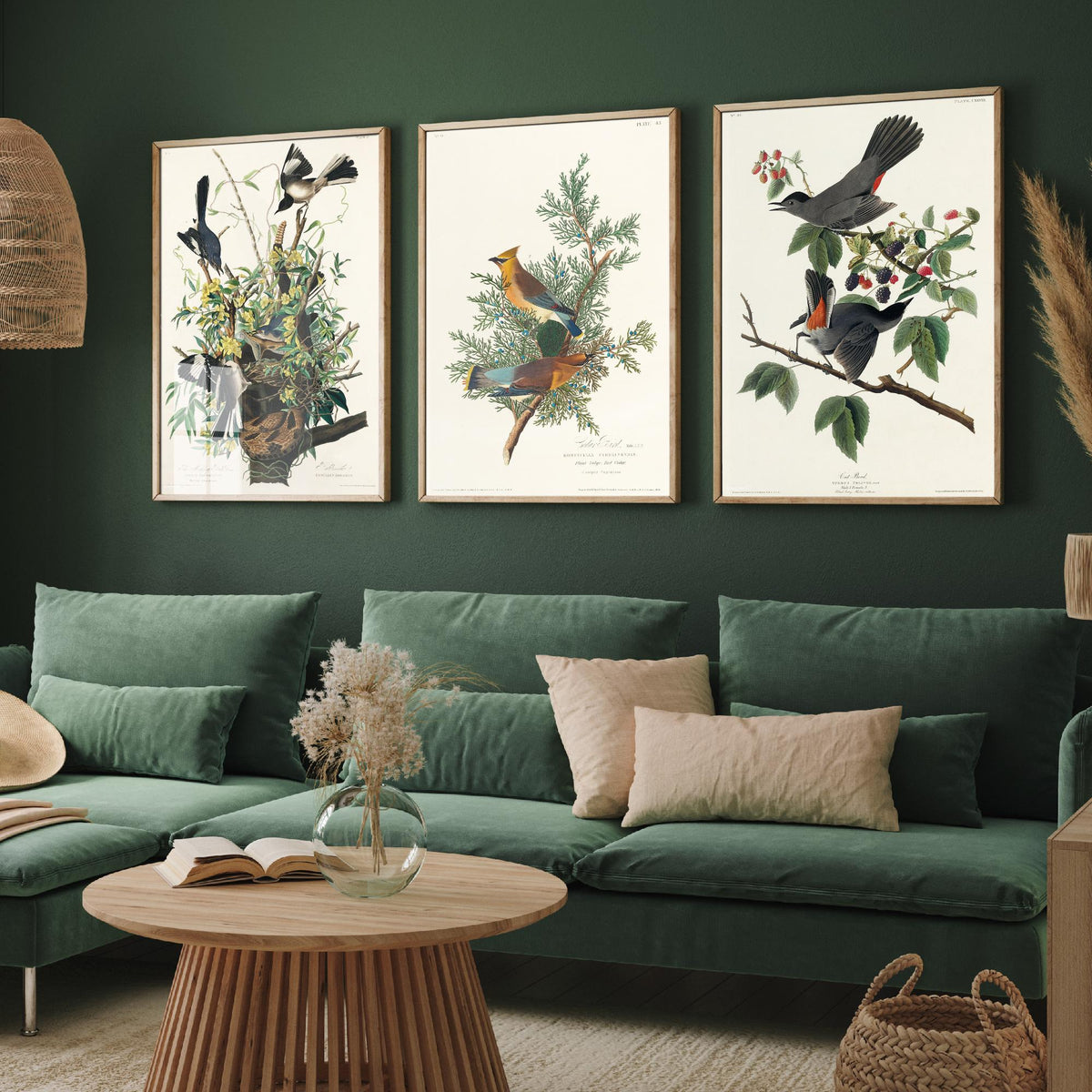 Set of Three John James Audubon Prints - Mockingbird Cedar Waxwing and Catbird - 3 Bird Paintings Poster Wall Art Gift Vintage