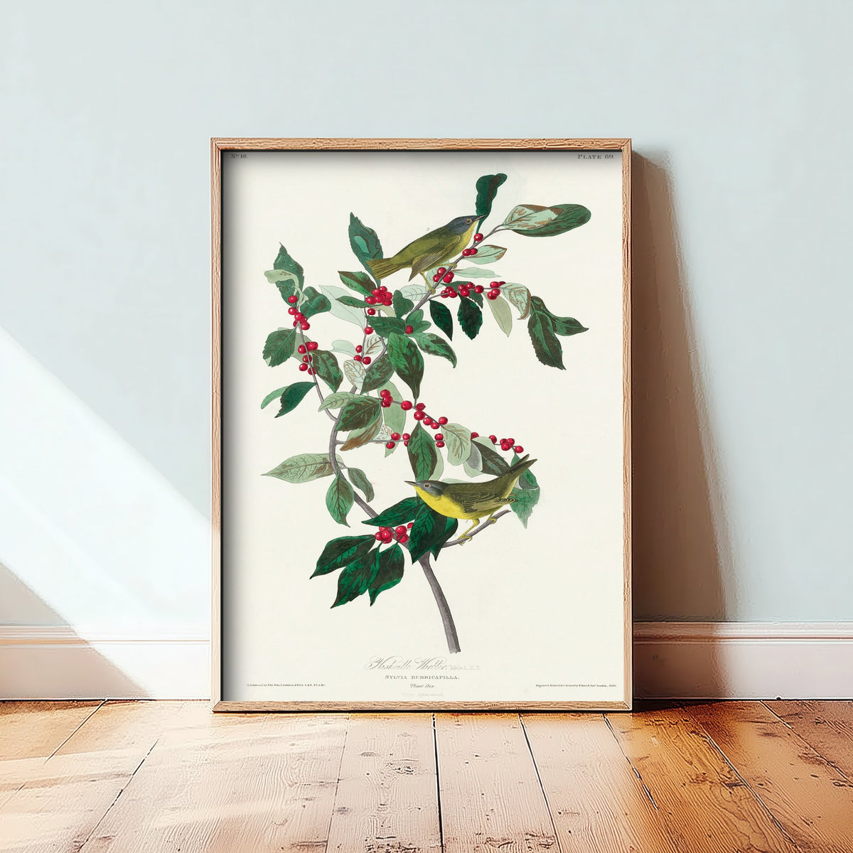 Nashville Warbler Art Print - John James Audubon Birds of America - Vintage Ornithology Illustration Poster