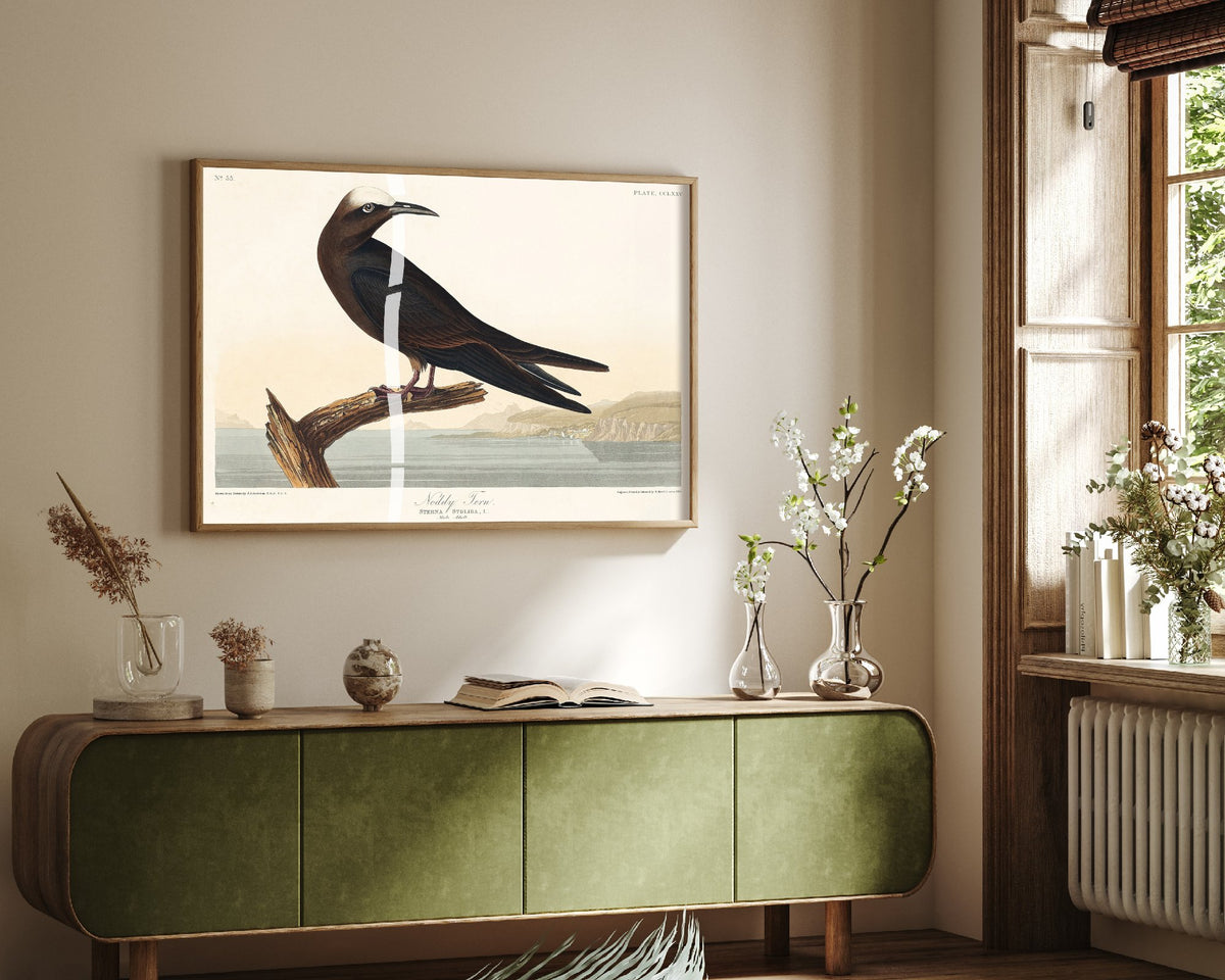 Brown Noddy Tern - John James Audubon Birds of America - Vintage Sea Bird Art Print Poster Illustration