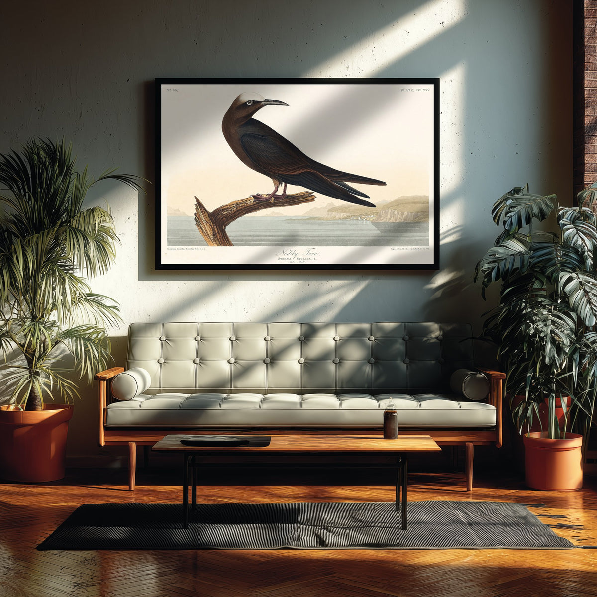 Brown Noddy Tern - John James Audubon Birds of America - Vintage Sea Bird Art Print Poster Illustration