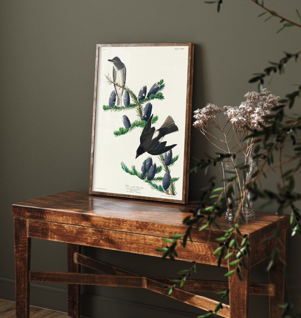 Olive-sided Flycatcher - John James Audubon Birds of America - Vintage Bird Art Print Poster Illustration