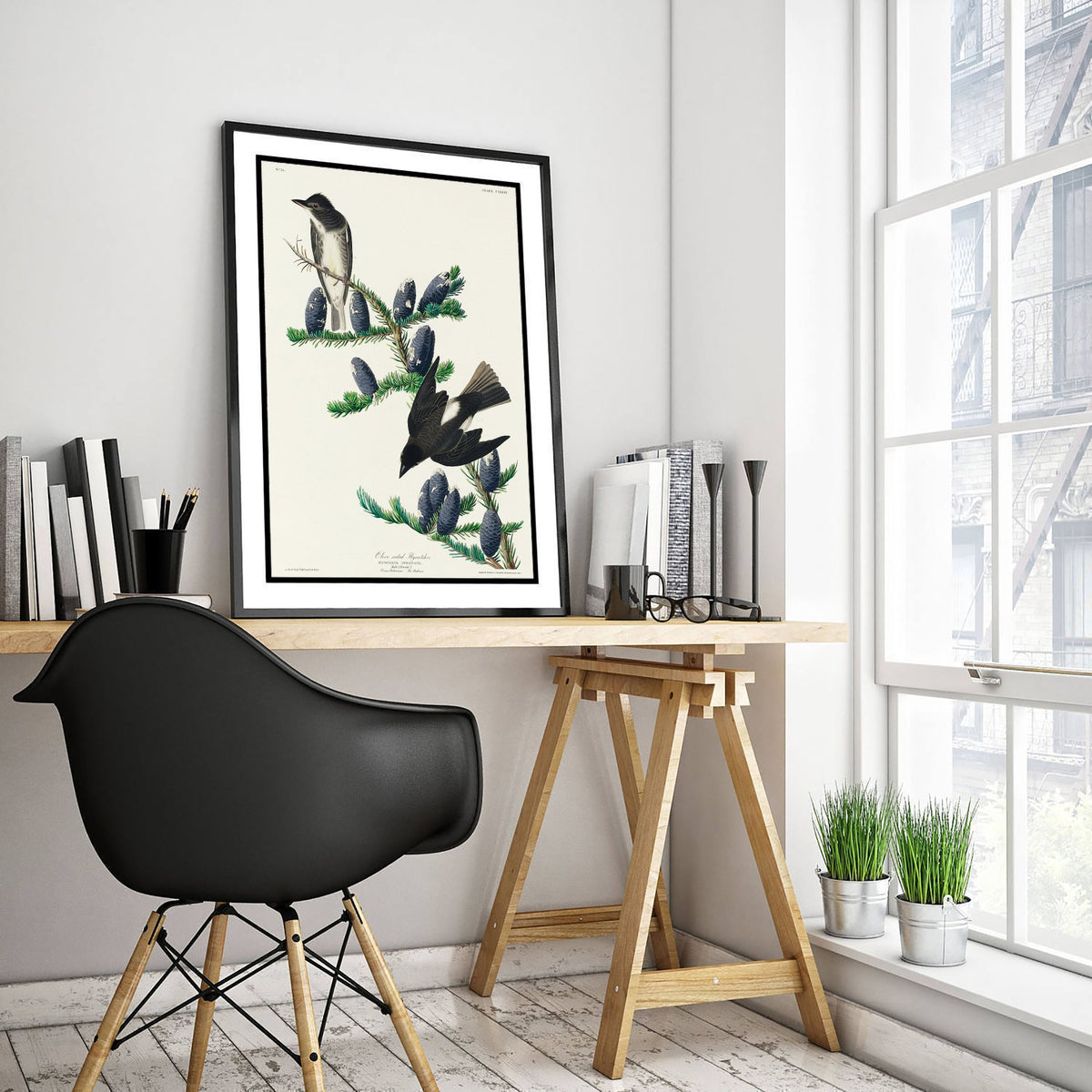 Olive-sided Flycatcher - John James Audubon Birds of America - Vintage Bird Art Print Poster Illustration
