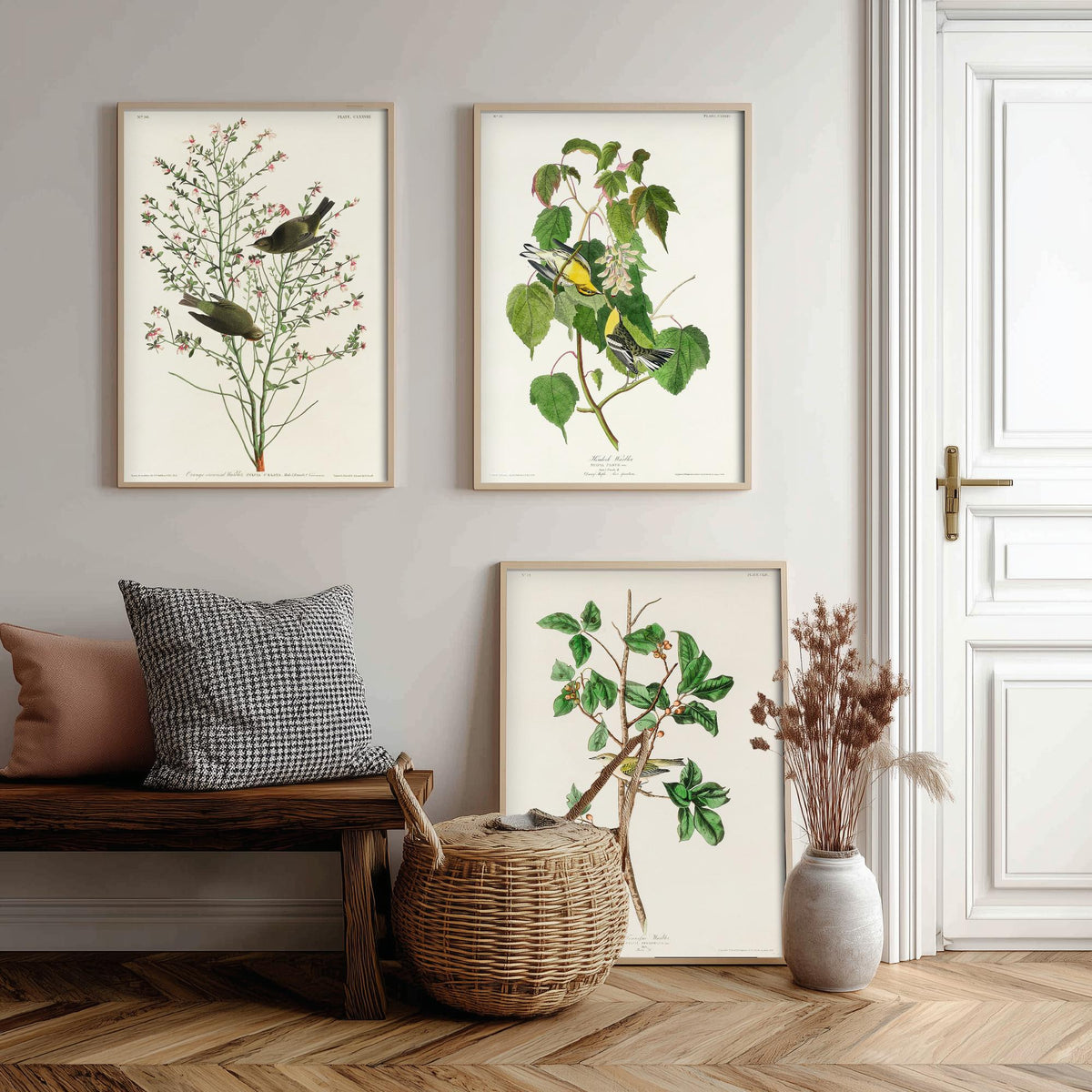 Set of Three John James Audubon Prints - Orange-crowned Hemlock and Tennessee Warbler - 3 Bird Paintings Poster Wall Art Gift Vintage