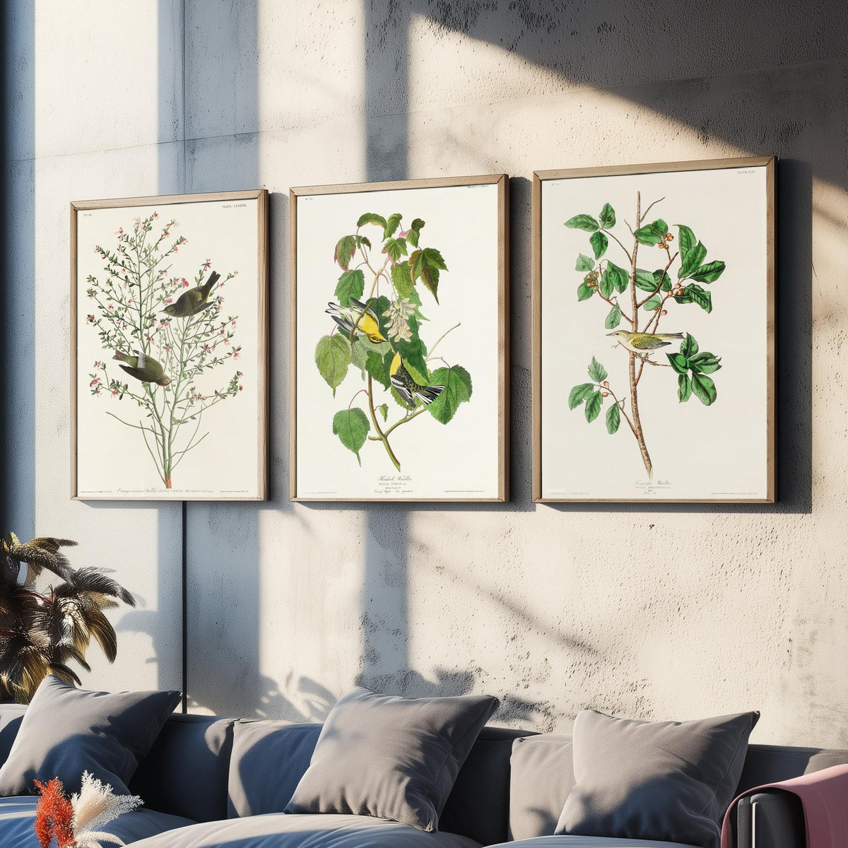 Set of Three John James Audubon Prints - Orange-crowned Hemlock and Tennessee Warbler - 3 Bird Paintings Poster Wall Art Gift Vintage