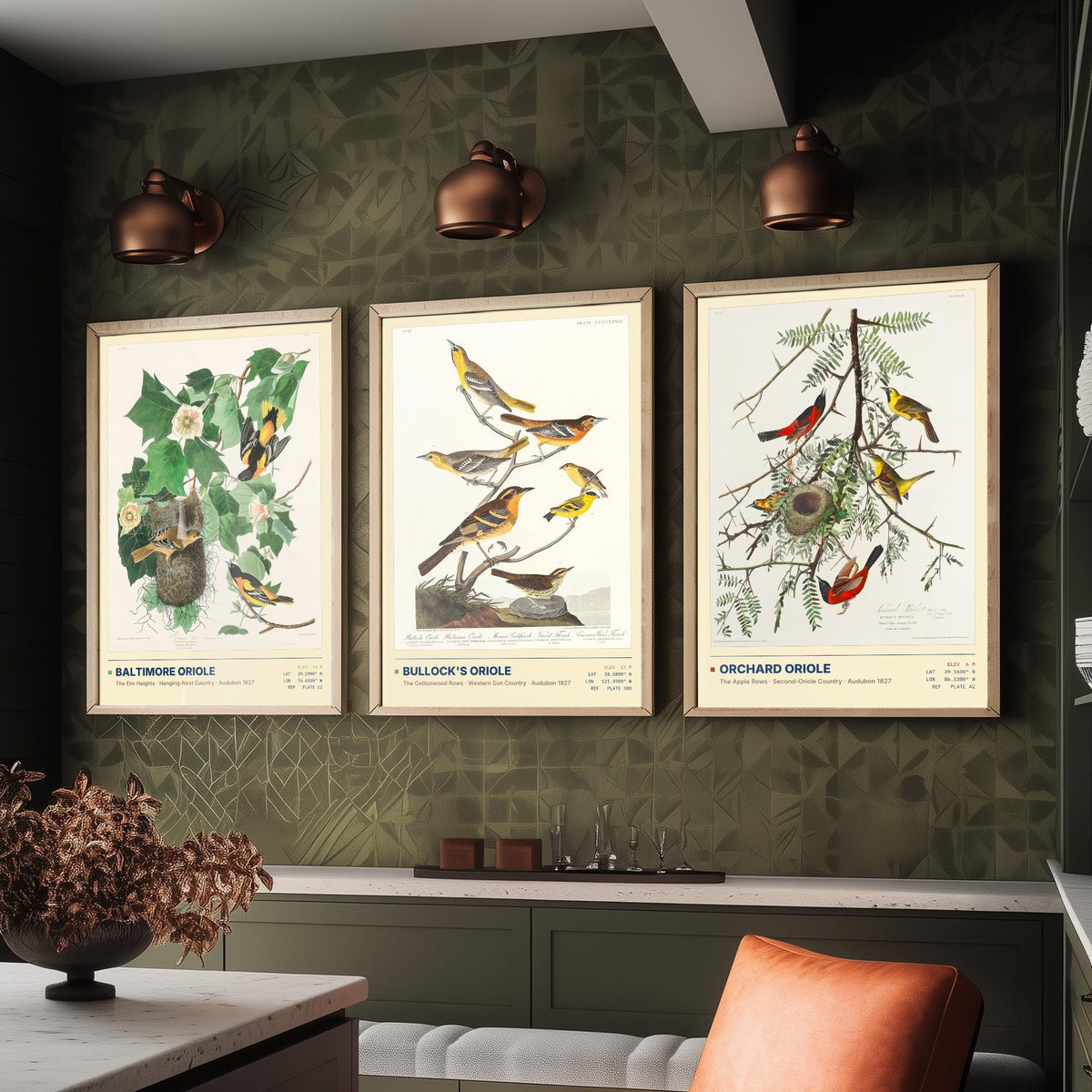 Audubon Orioles Set of Three Art Prints - Baltimore, Bullock's and Orchard Oriole - Birds of America Illustrations Gallery Posters