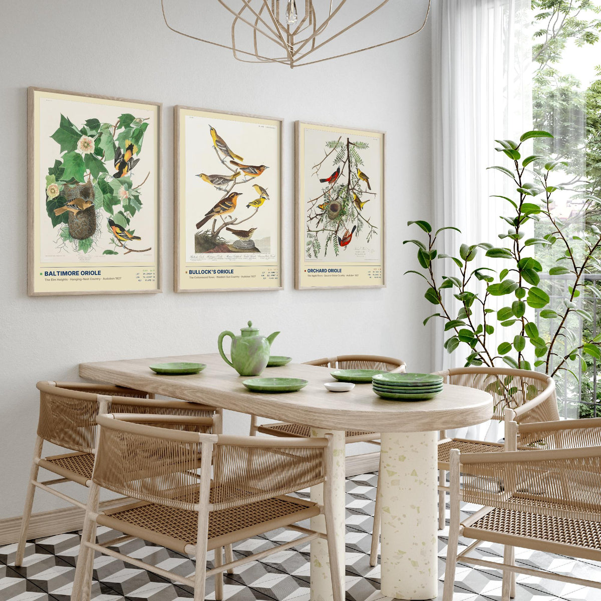 Audubon Orioles Set of Three Art Prints - Baltimore, Bullock's and Orchard Oriole - Birds of America Illustrations Gallery Posters