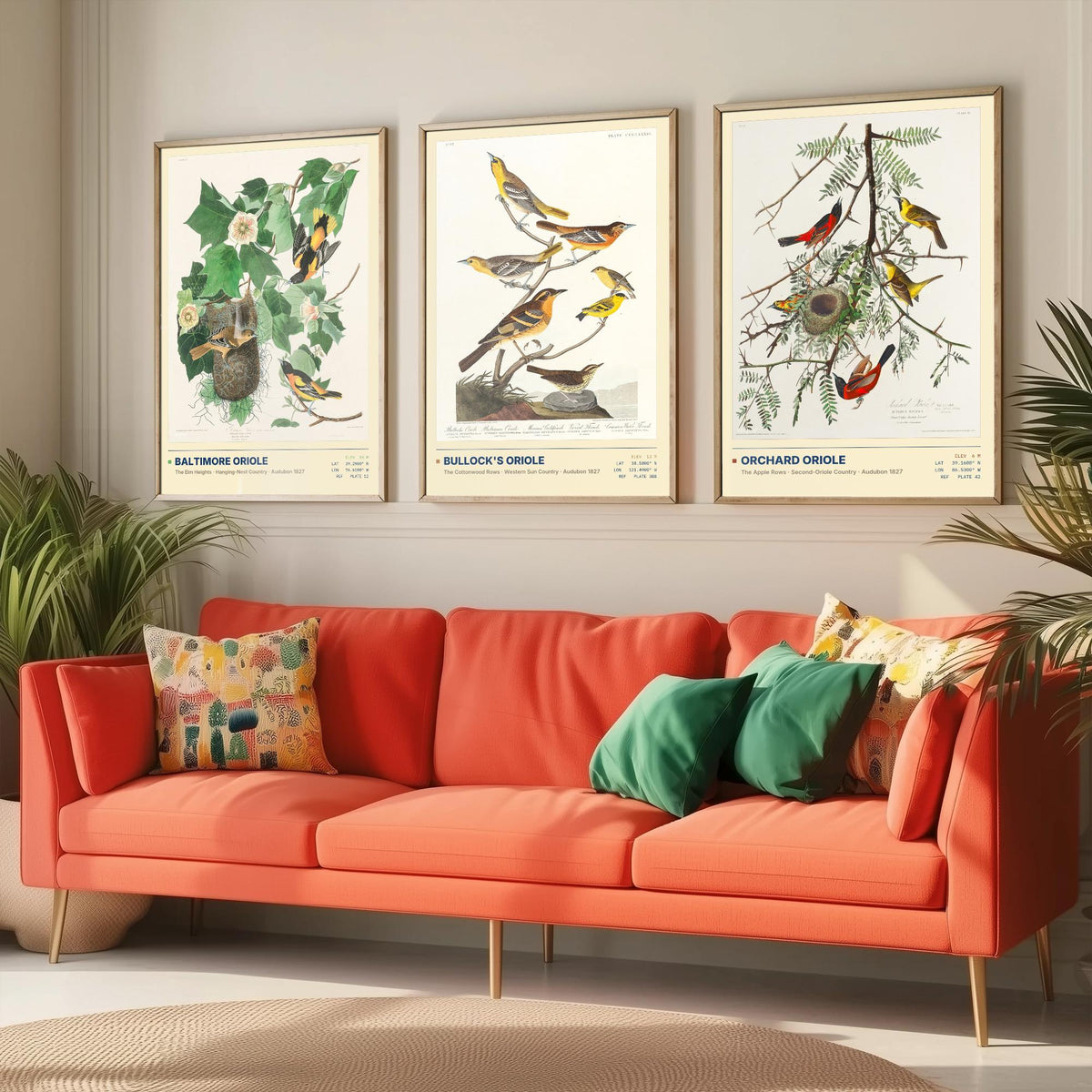 Audubon Orioles Set of Three Art Prints - Baltimore, Bullock's and Orchard Oriole - Birds of America Illustrations Gallery Posters
