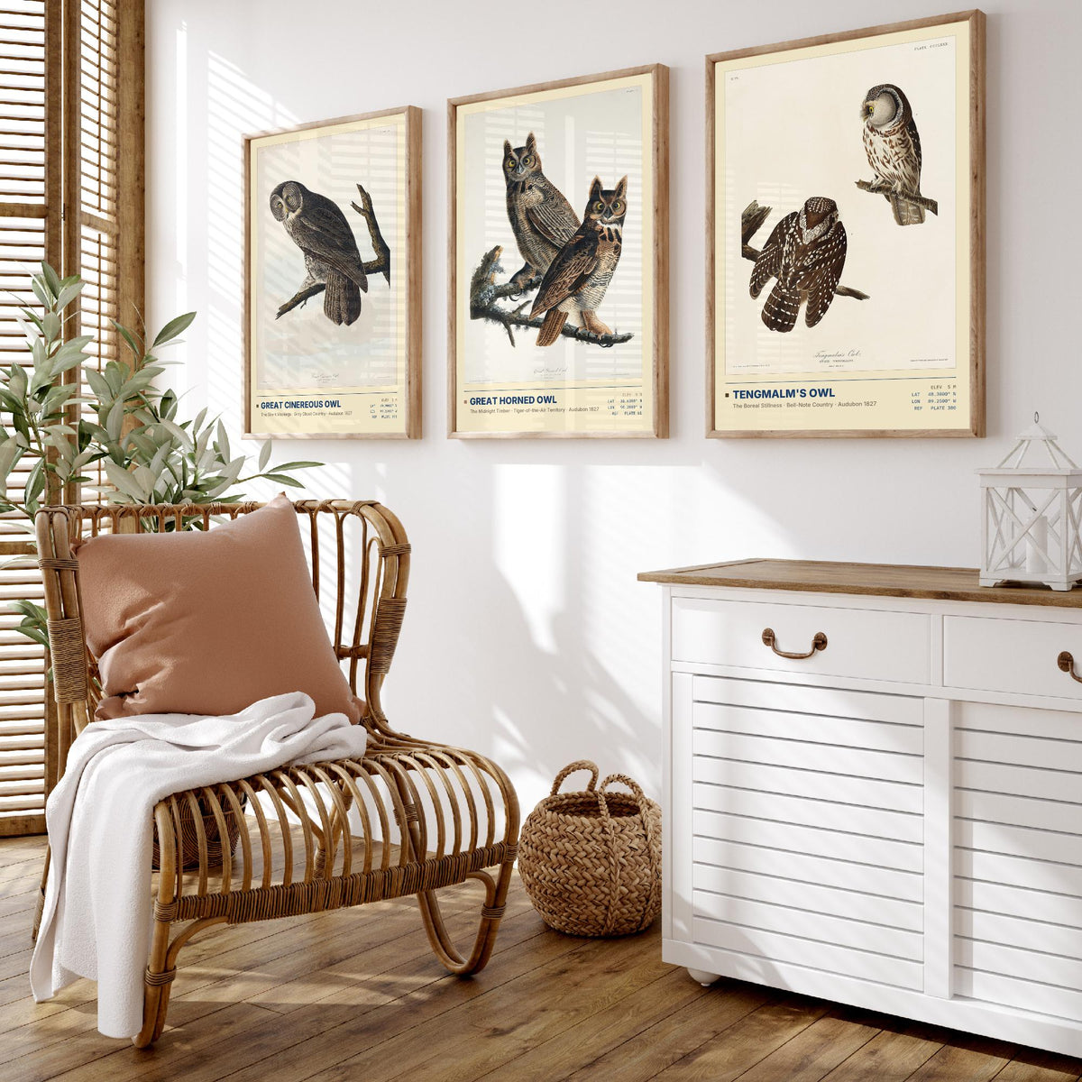 Audubon Owls Set of Three Art Prints - Great Cinereous Owl, Great Horned Owl, Tengmalm's Owl - Dark Academia Illustrations Wall Posters