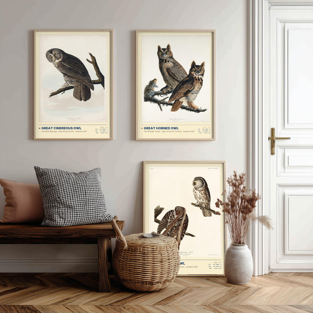 Audubon Owls Set of Three Art Prints - Great Cinereous Owl, Great Horned Owl, Tengmalm's Owl - Dark Academia Illustrations Wall Posters