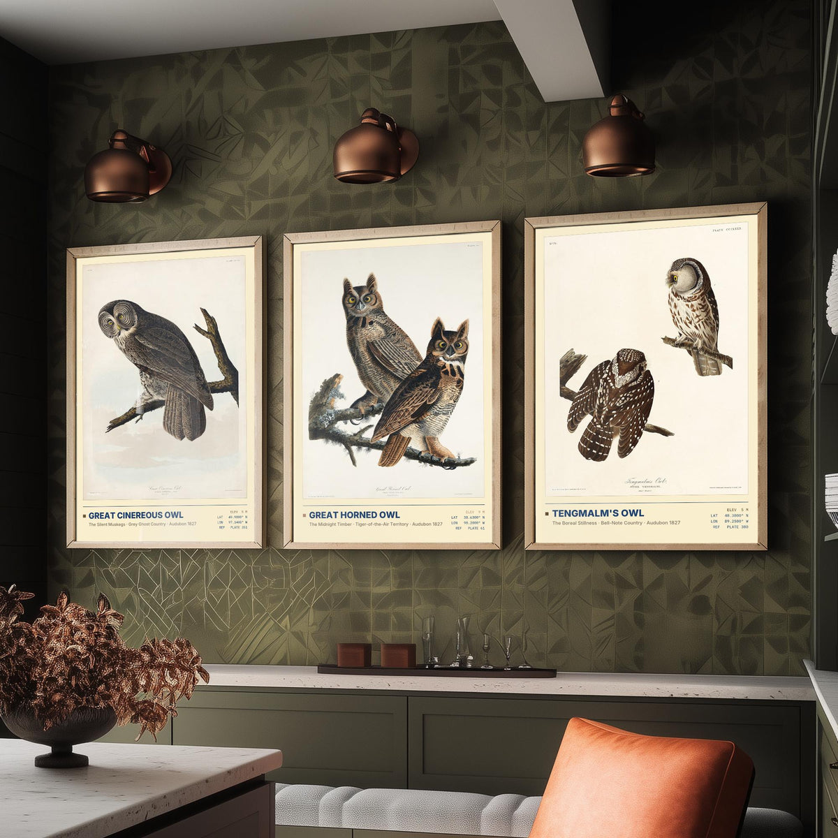 Audubon Owls Set of Three Art Prints - Great Cinereous Owl, Great Horned Owl, Tengmalm's Owl - Dark Academia Illustrations Wall Posters