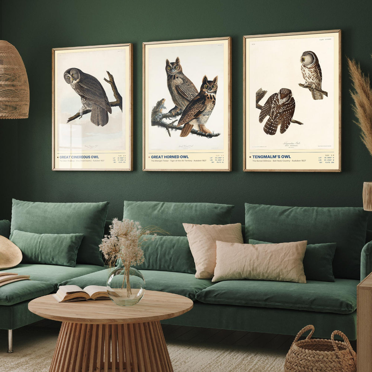 Audubon Owls Set of Three Art Prints - Great Cinereous Owl, Great Horned Owl, Tengmalm's Owl - Dark Academia Illustrations Wall Posters