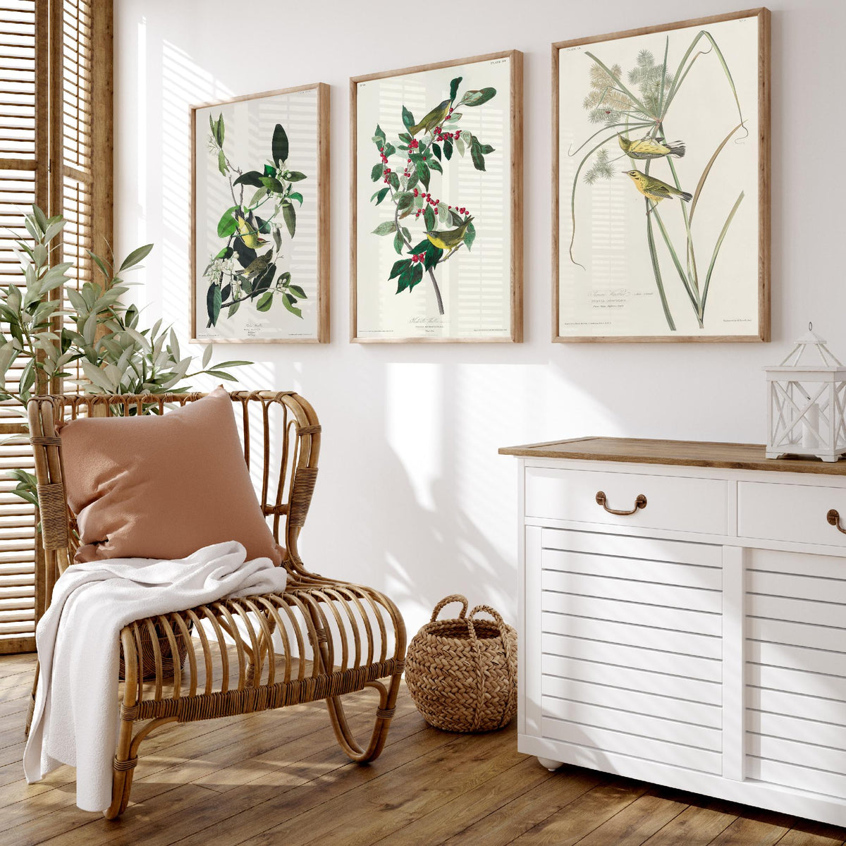 Set of Three John James Audubon Prints - Palm Warbler Nashville Warbler Prairie Warbler - 3 Bird Paintings Poster Wall Art Gift