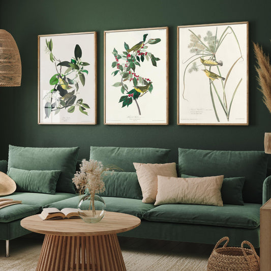 Set of Three John James Audubon Prints - Palm Warbler Nashville Warbler Prairie Warbler - 3 Bird Paintings Poster Wall Art Gift