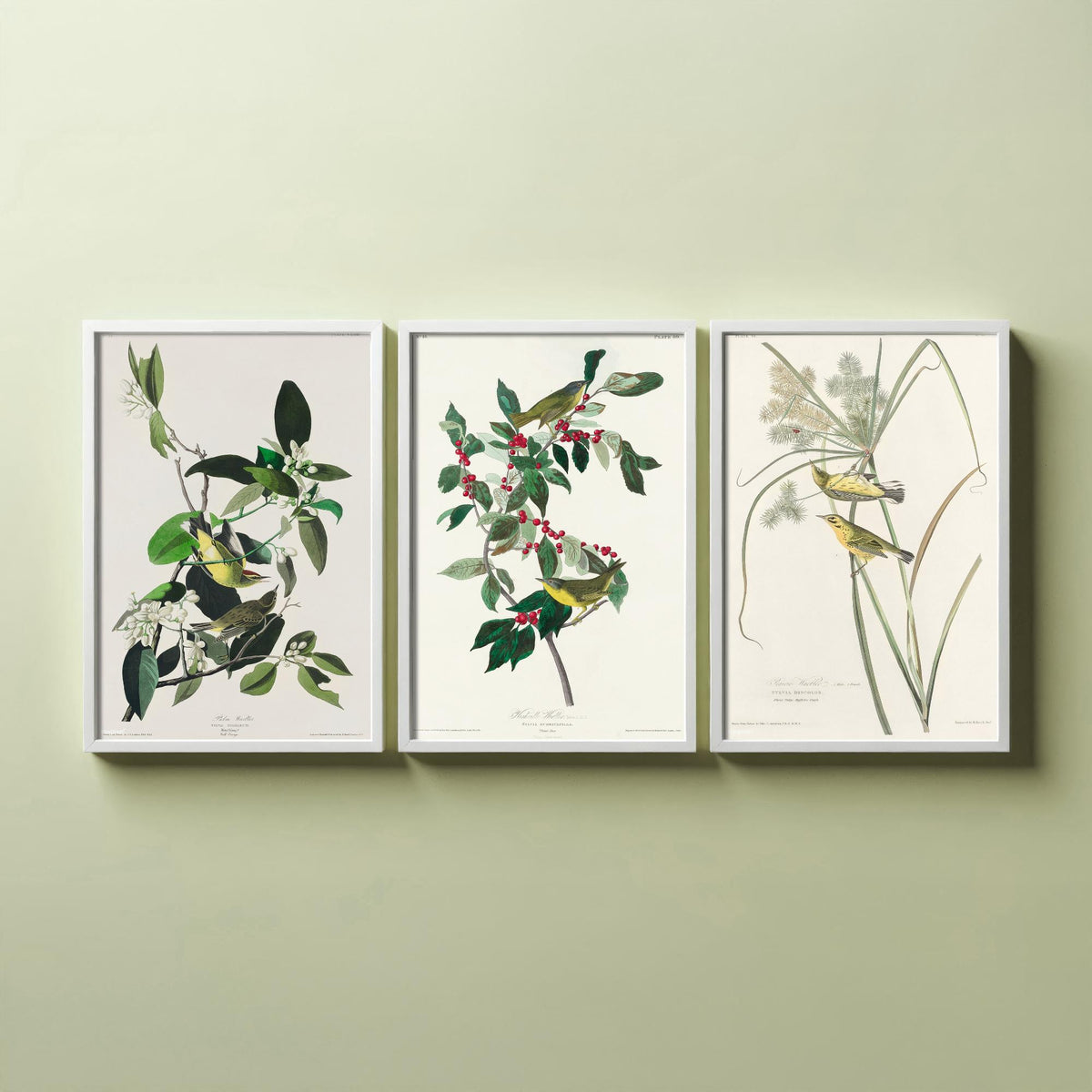 Set of Three John James Audubon Prints - Palm Warbler Nashville Warbler Prairie Warbler - 3 Bird Paintings Poster Wall Art Gift