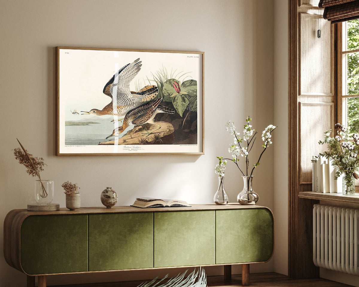 Pectoral Sandpiper II - John James Audubon Birds of America - Vintage Shorebird Art Print Poster Illustration