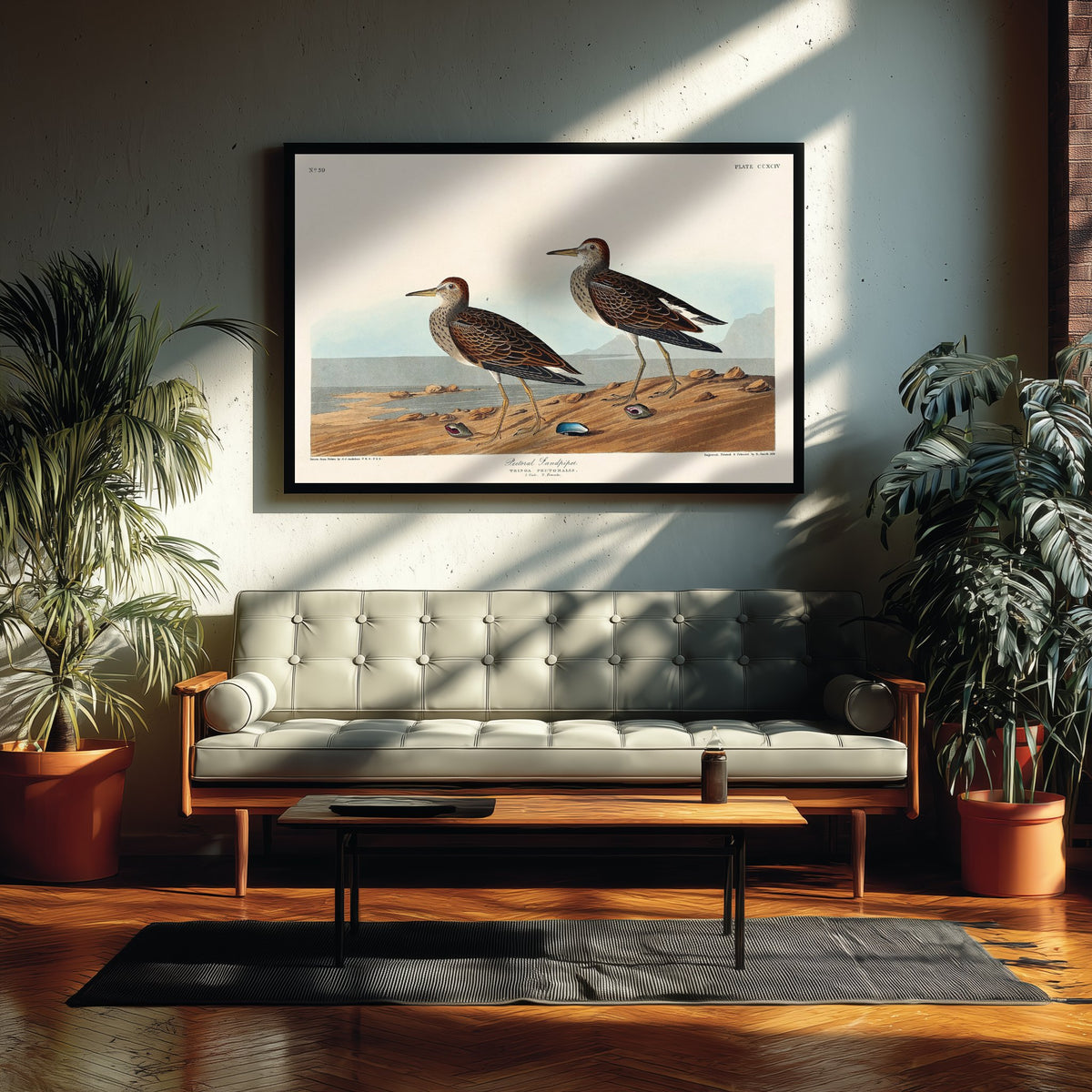 Pectoral Sandpiper - John James Audubon Birds of America - Vintage Shorebird Art Print Poster Illustration