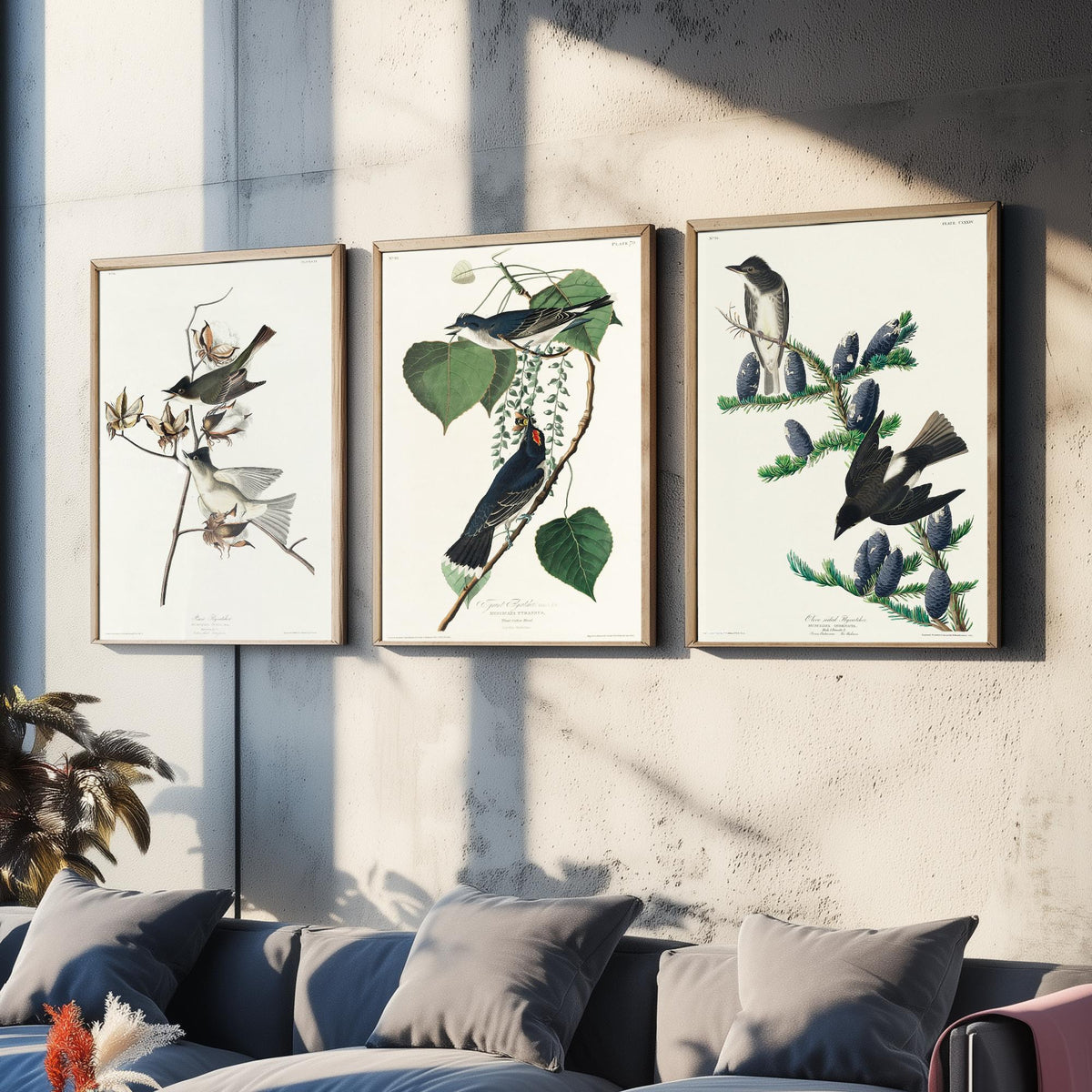 Set of Three John James Audubon Prints - Pewit Flycatcher Tyrant Flycatcher Olive-sided Flycatcher - 3 Bird Paintings Poster Wall Art