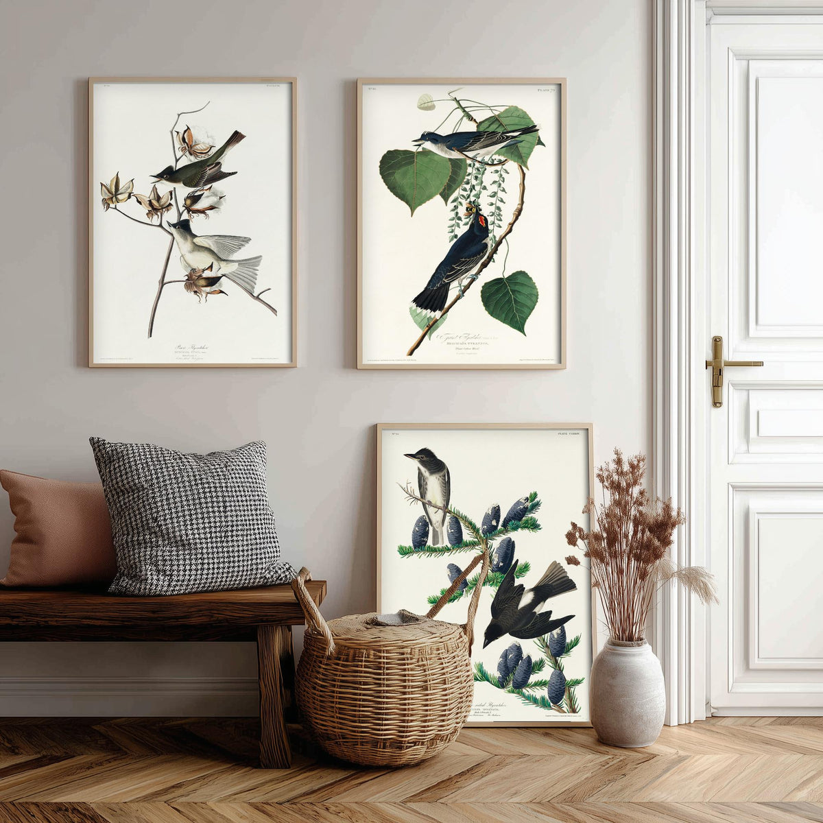 Set of Three John James Audubon Prints - Pewit Flycatcher Tyrant Flycatcher Olive-sided Flycatcher - 3 Bird Paintings Poster Wall Art