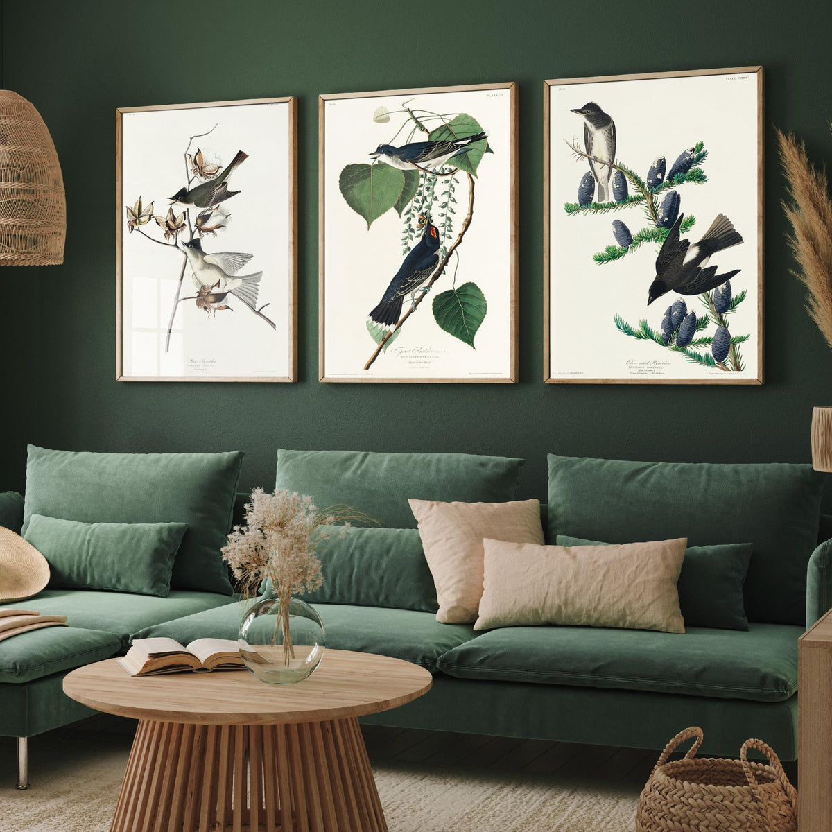 Set of Three John James Audubon Prints - Pewit Flycatcher Tyrant Flycatcher Olive-sided Flycatcher - 3 Bird Paintings Poster Wall Art