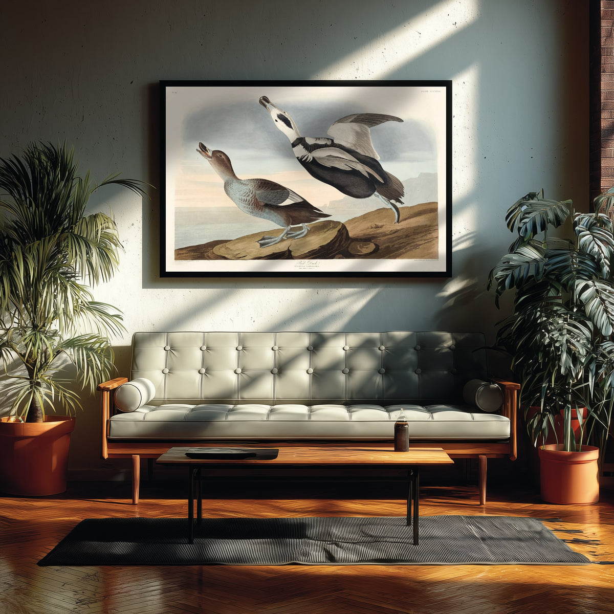 Labrador Duck Art Print - John James Audubon Birds of America - Vintage Ornithology Illustration Poster